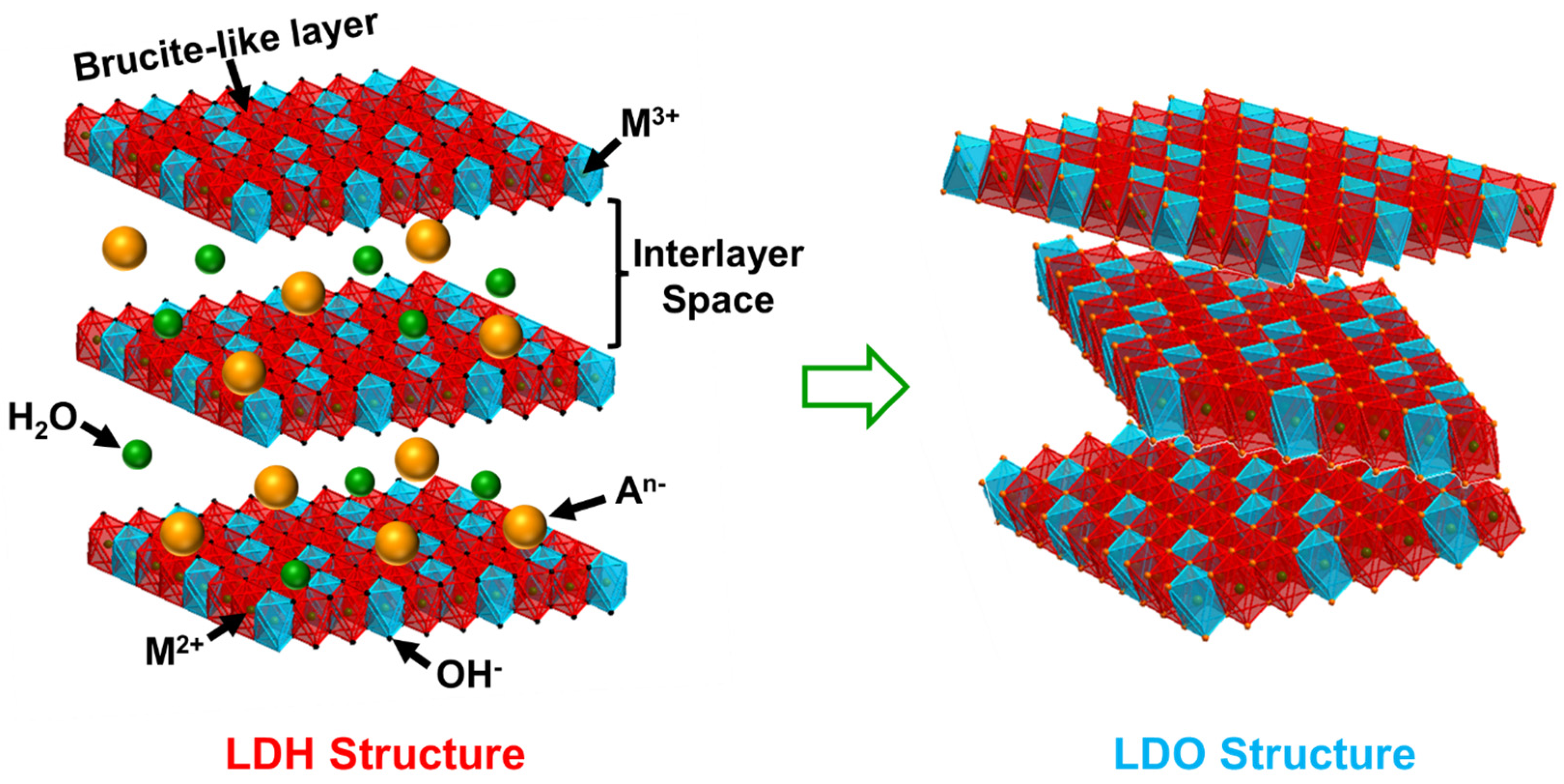 Catalysts 14 00755 g002
