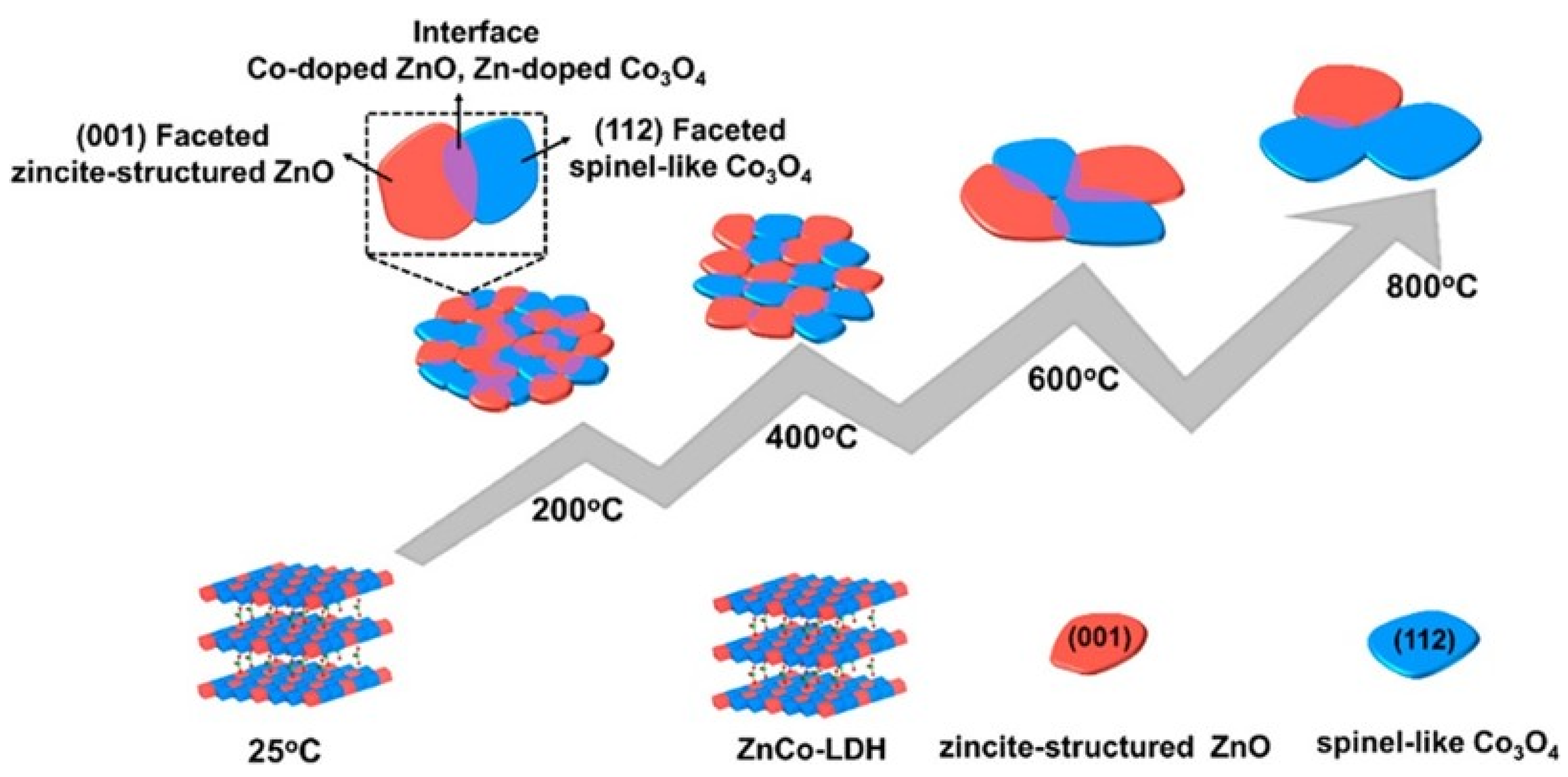 Catalysts 14 00755 g008
