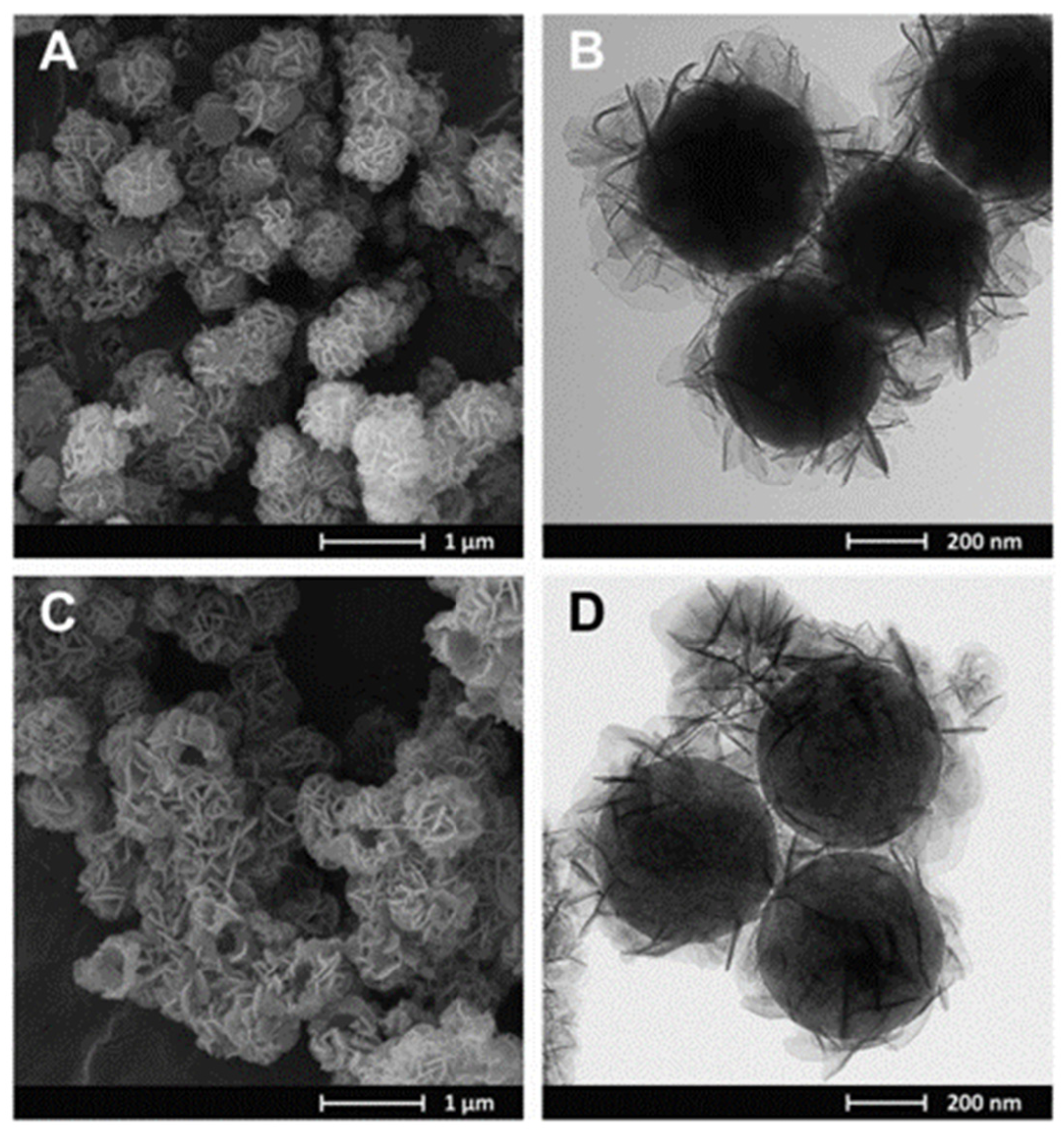Catalysts 14 00755 g012
