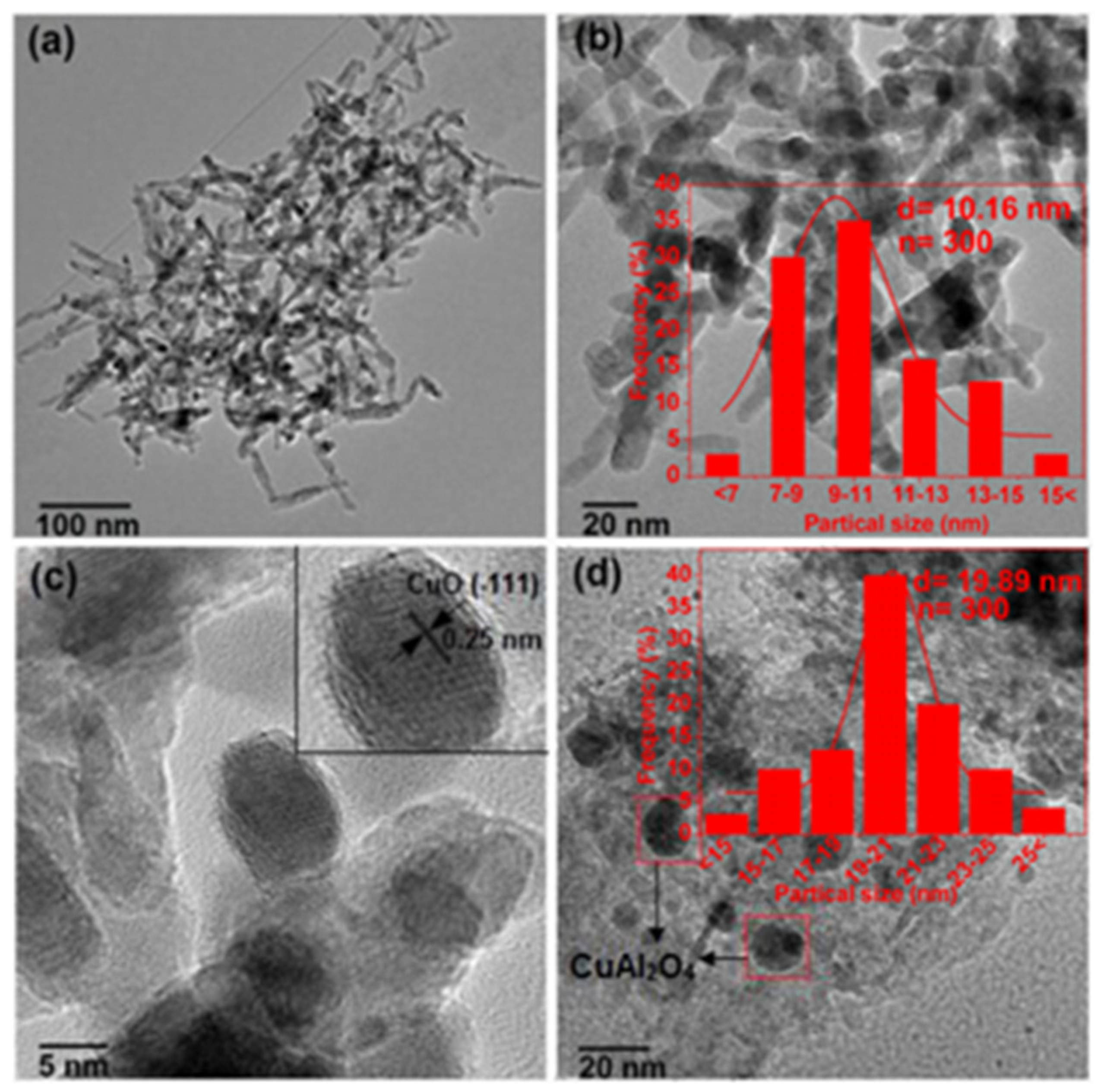 Catalysts 14 00755 g018