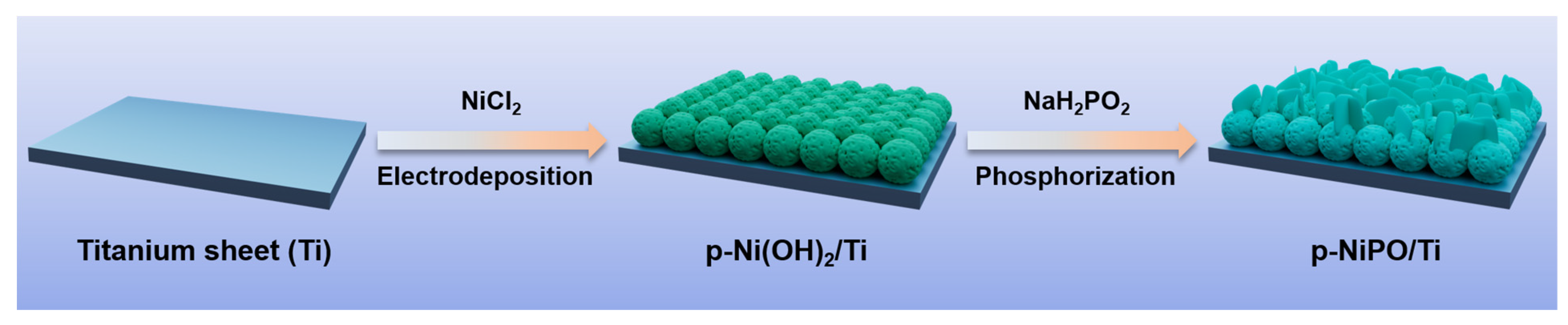 Catalysts 14 00757 sch001