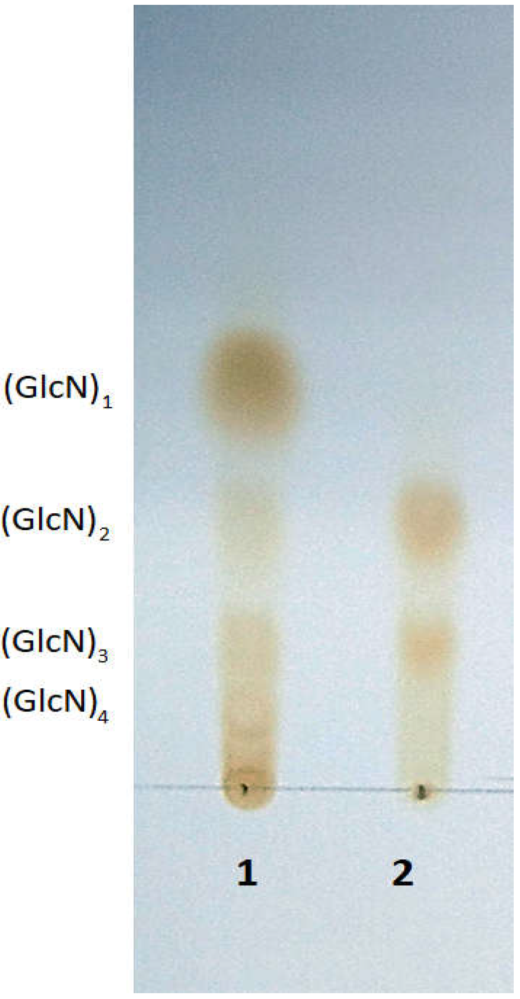 Catalysts 14 00761 g004