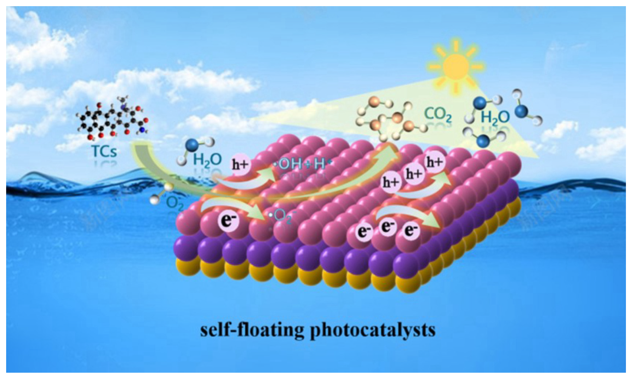 Catalysts 14 00762 g002