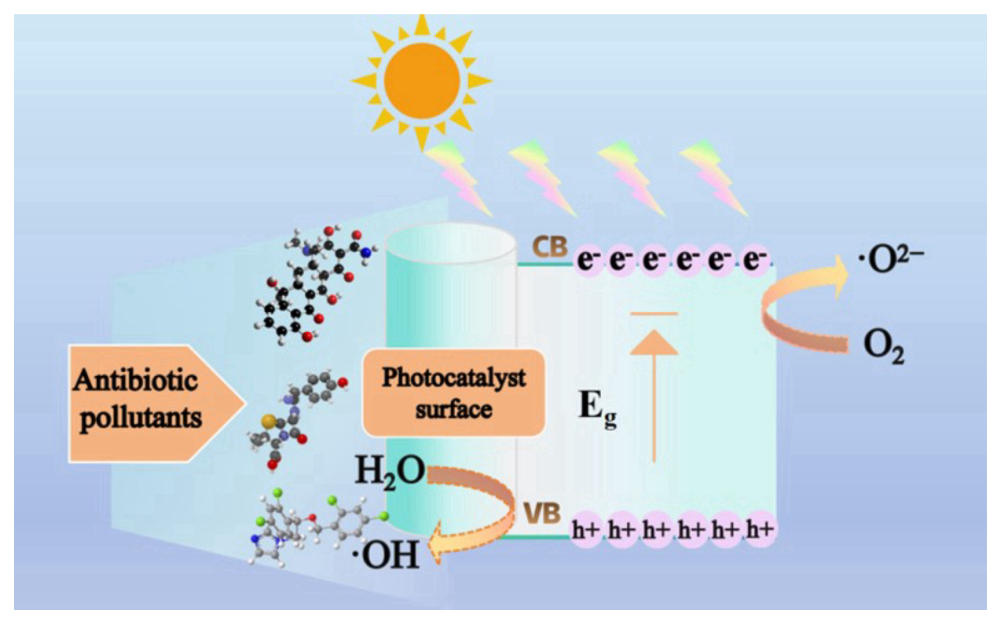 Catalysts 14 00762 g004
