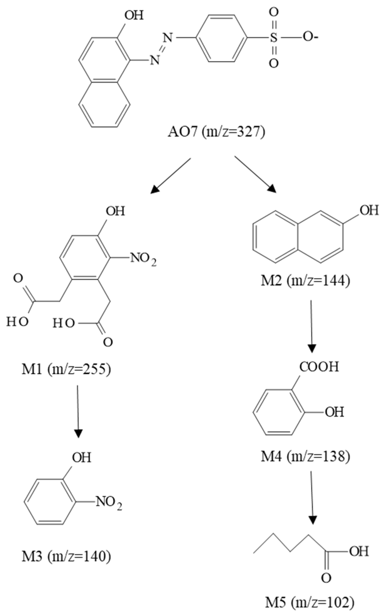 Catalysts 14 00763 g011