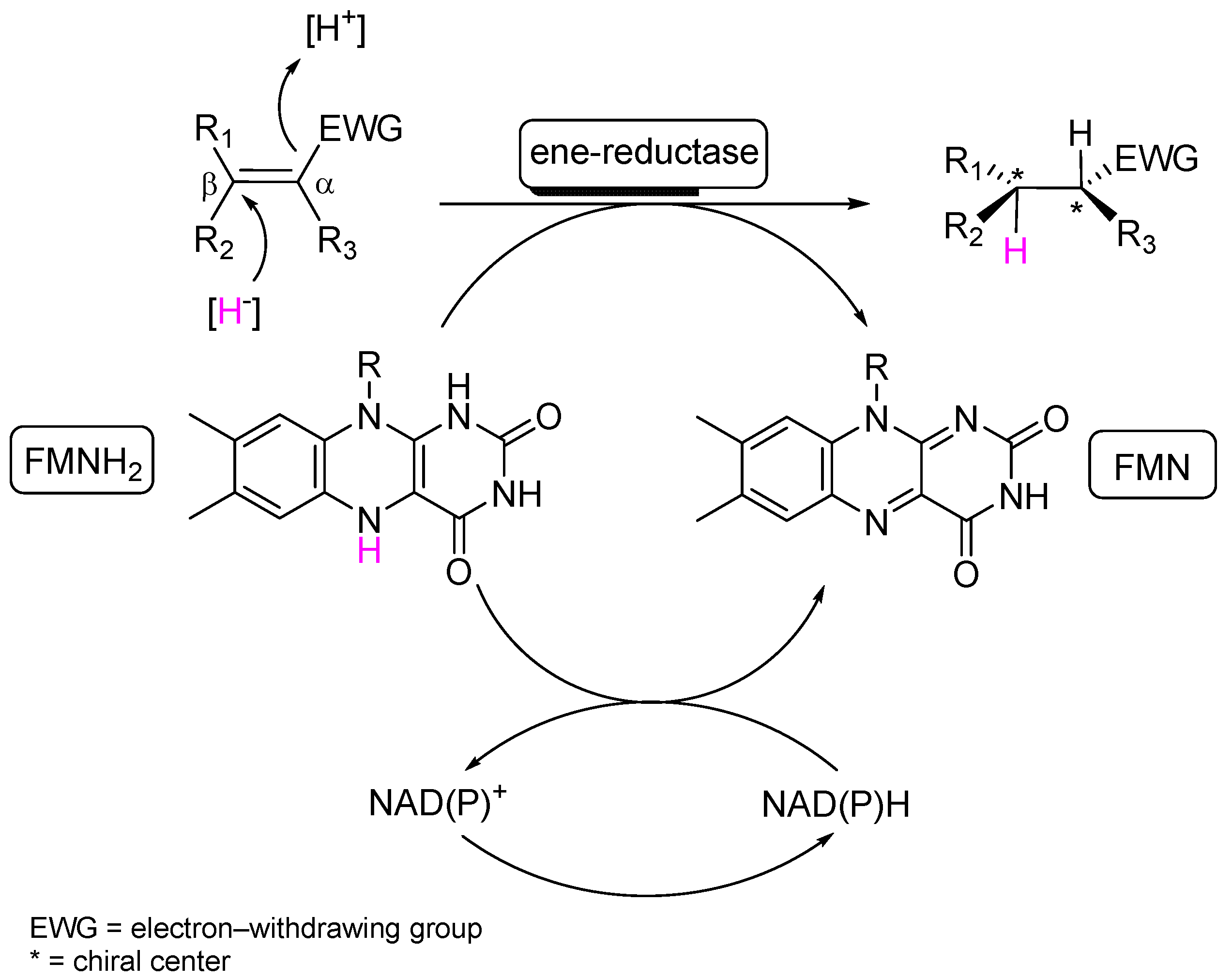 Catalysts 14 00764 g001