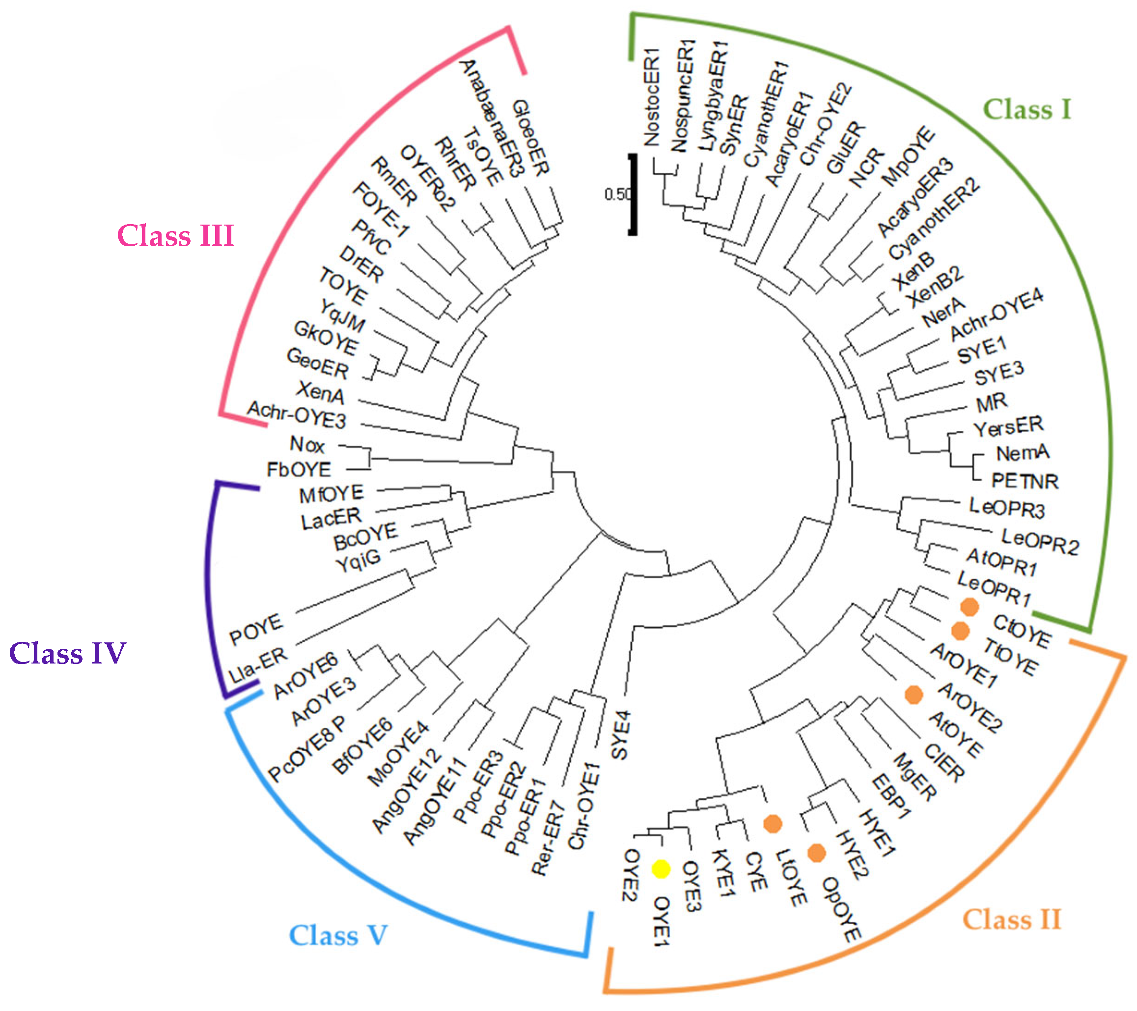 Catalysts 14 00764 g002