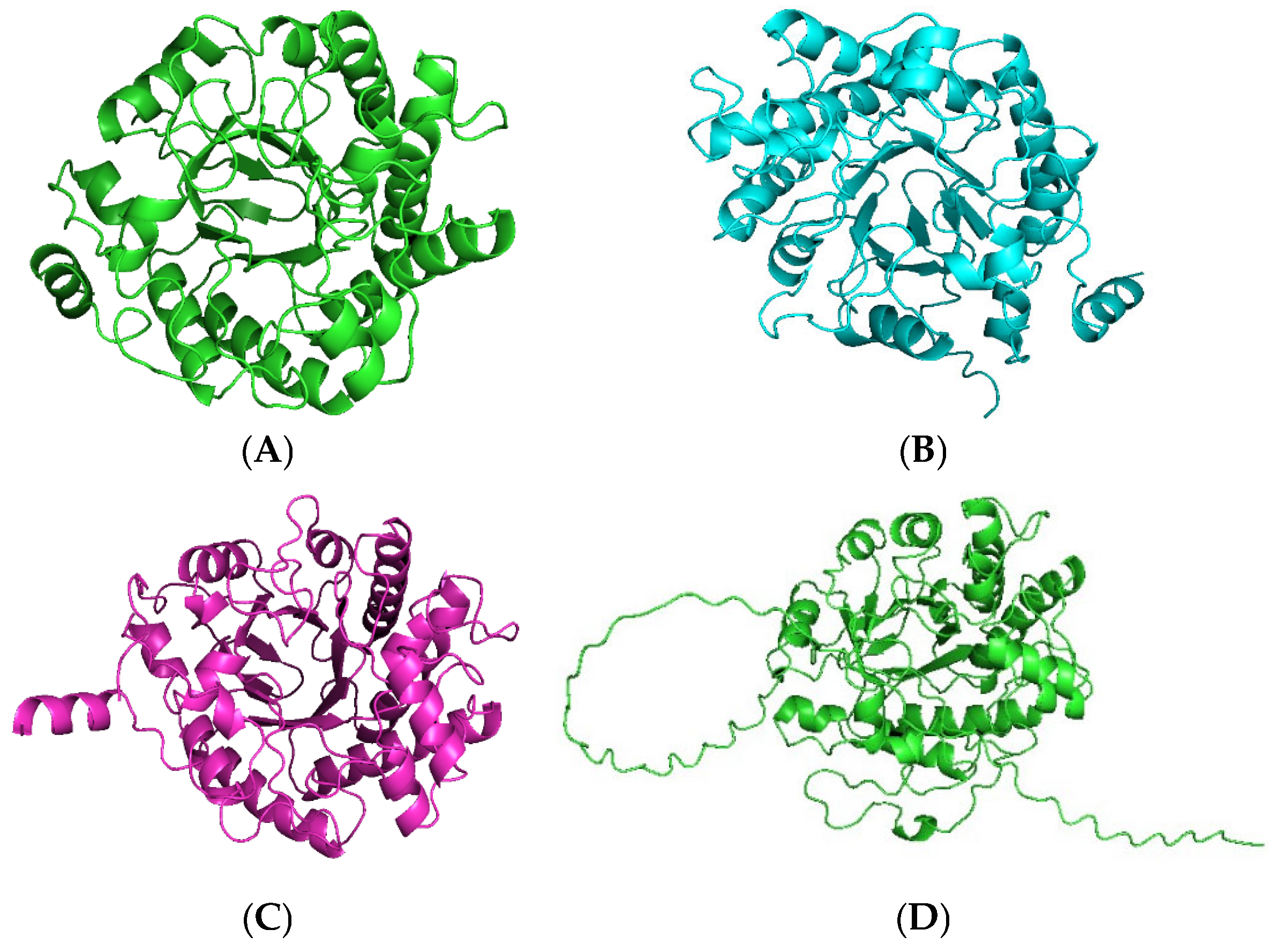 Catalysts 14 00764 g004a