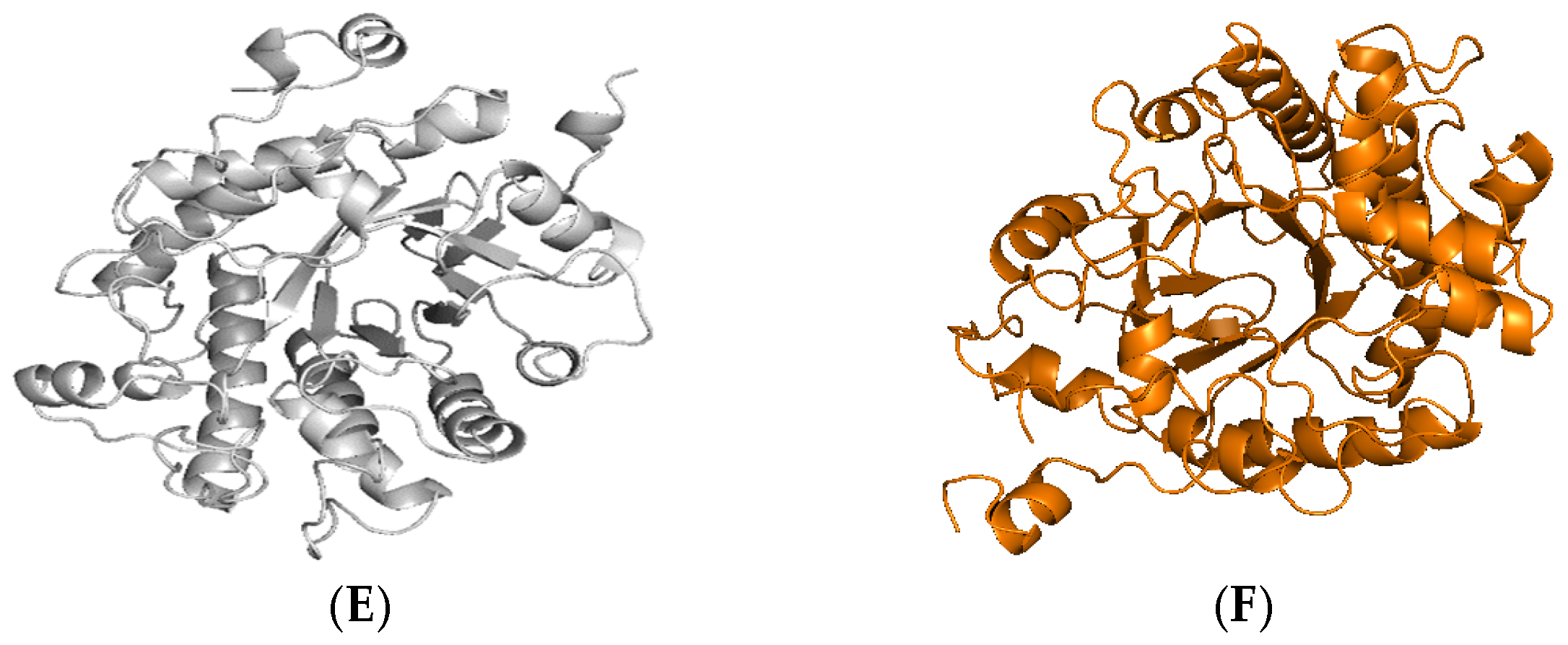 Catalysts 14 00764 g004b