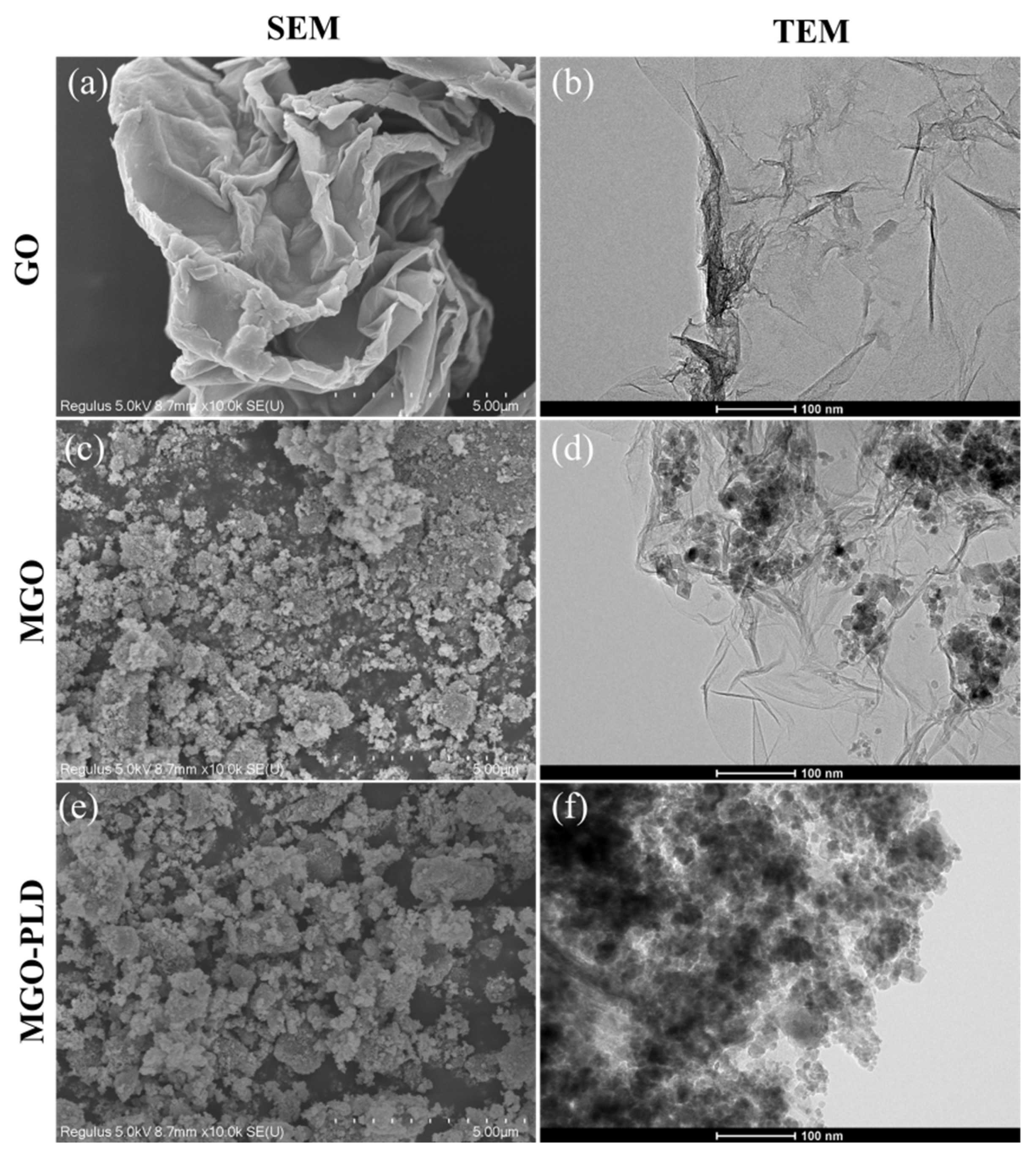 Catalysts 14 00765 g002 Catalysts 14 00765 g002