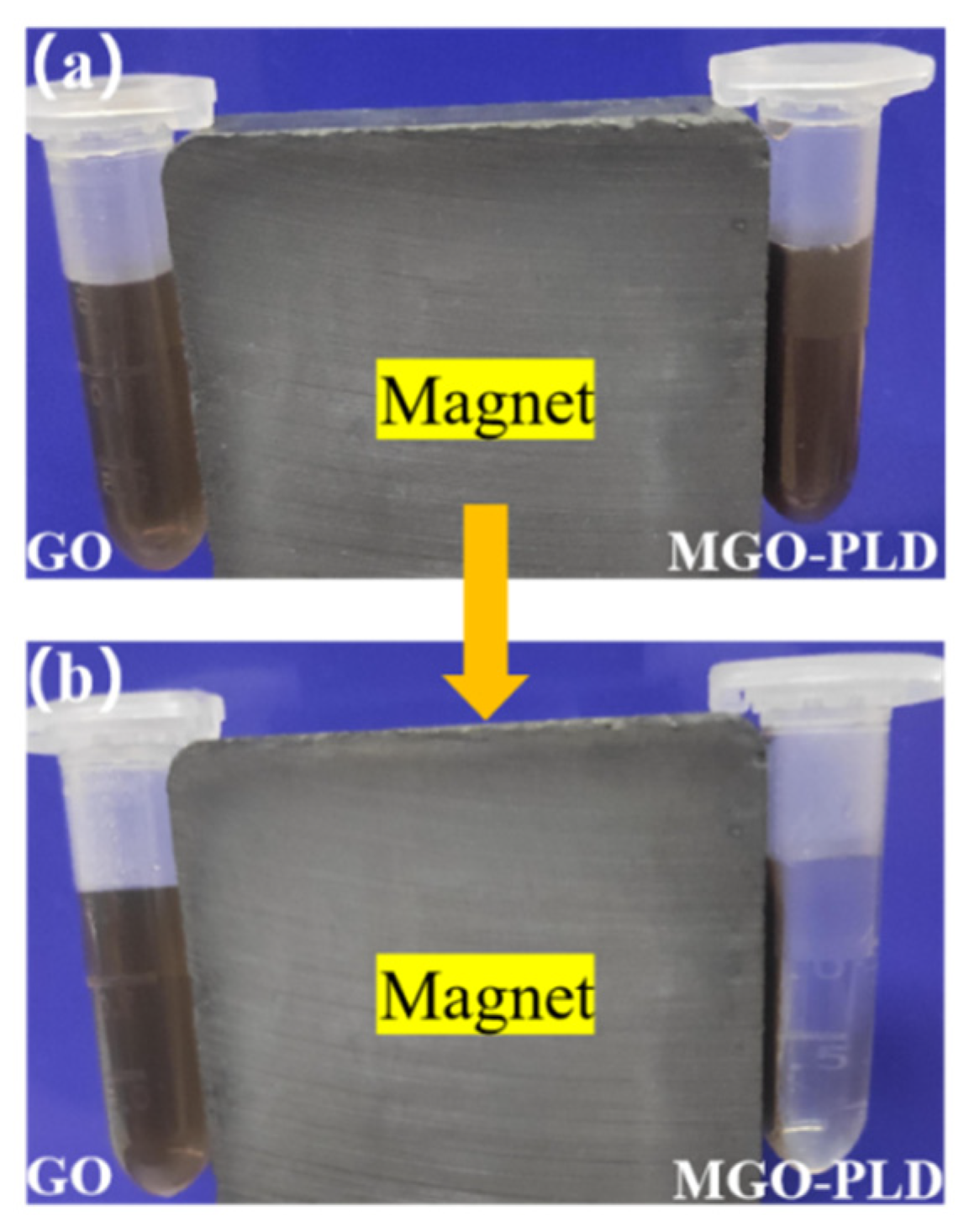Catalysts 14 00765 g004 Catalysts 14 00765 g004