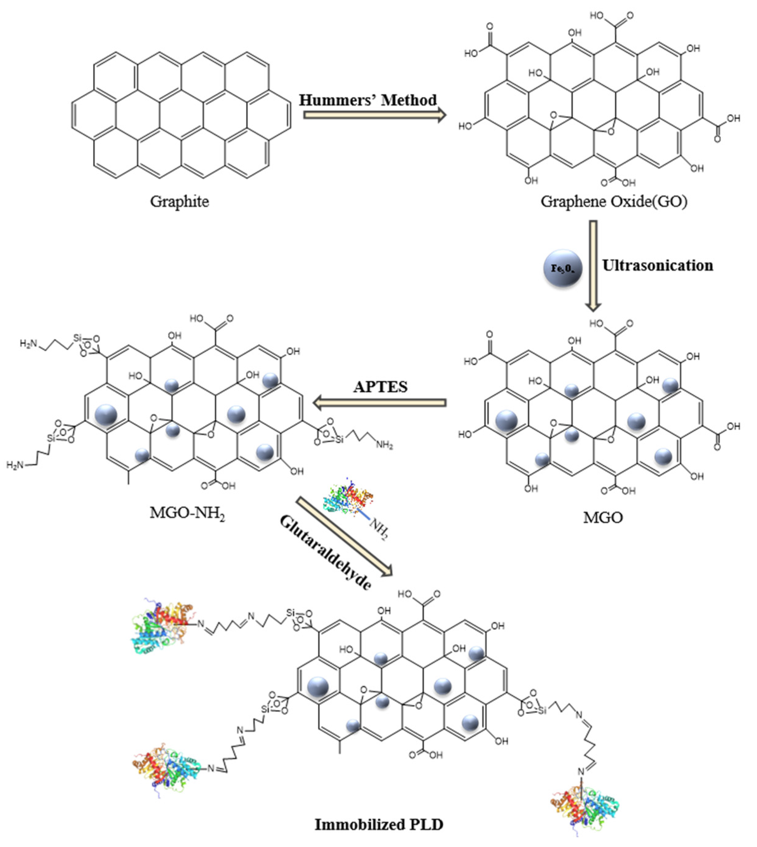 Catalysts 14 00765 g011 Catalysts 14 00765 g011