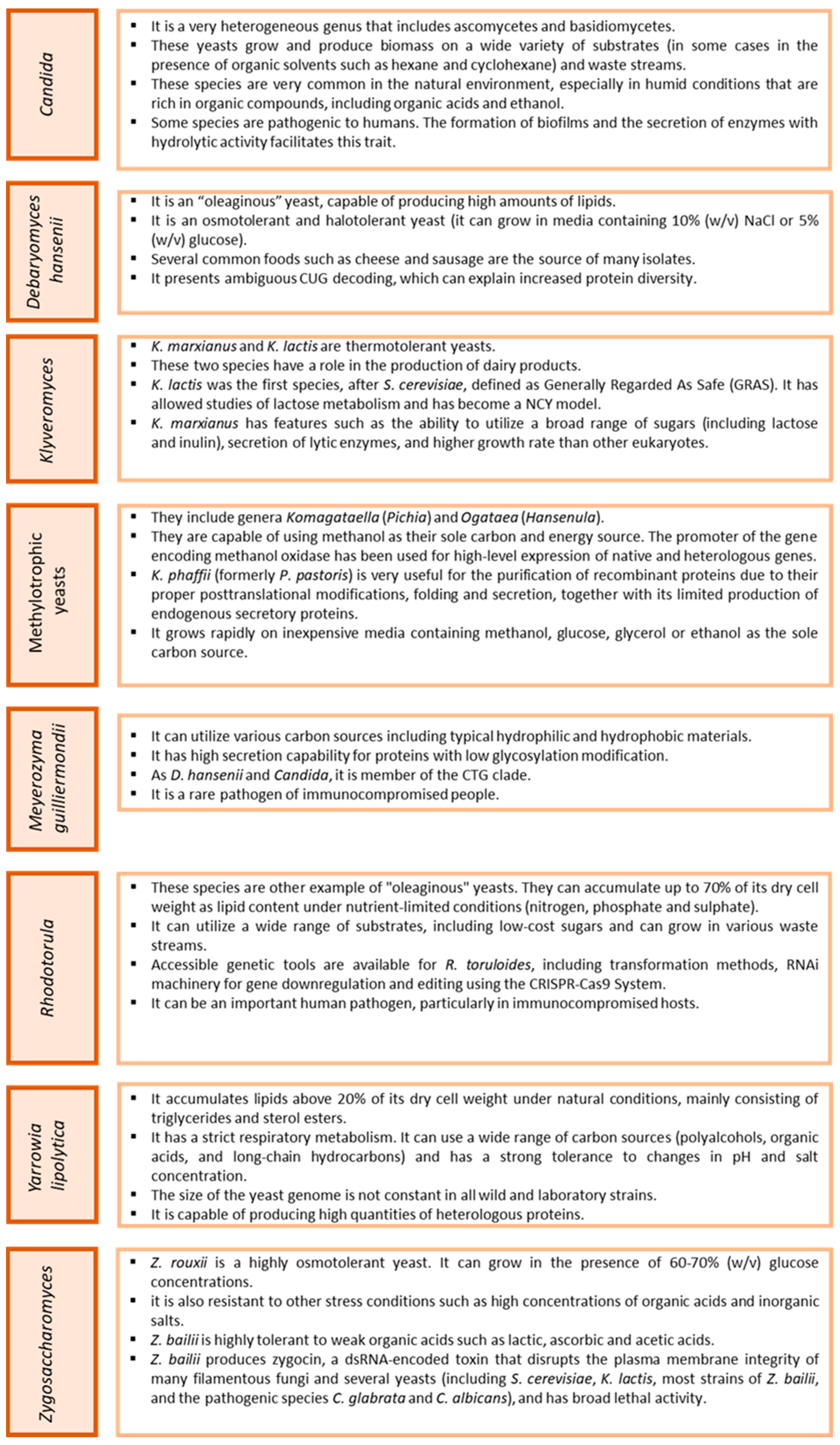 Catalysts 14 00767 g001