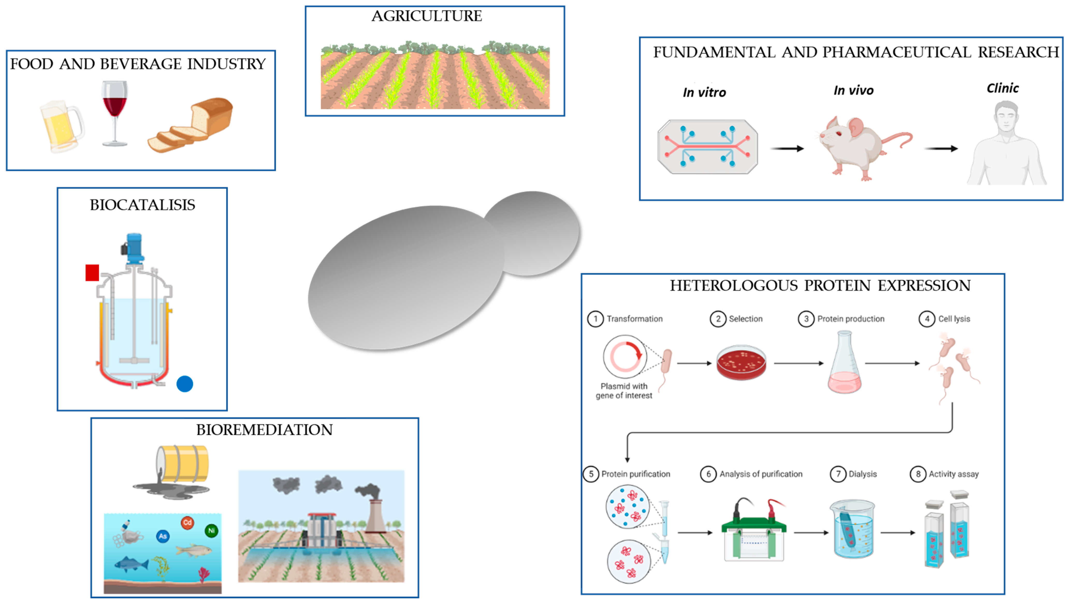 Catalysts 14 00767 g002