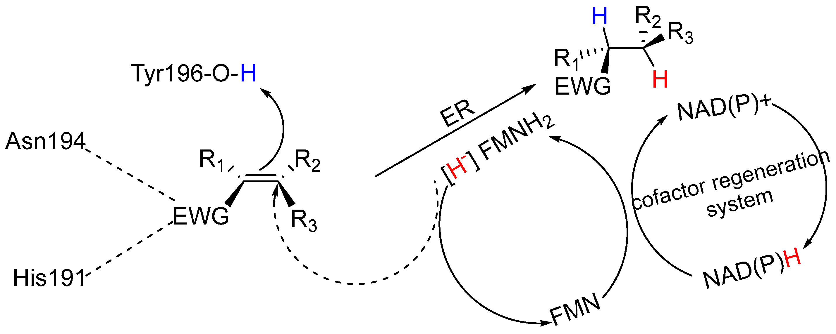 Catalysts 14 00767 g004