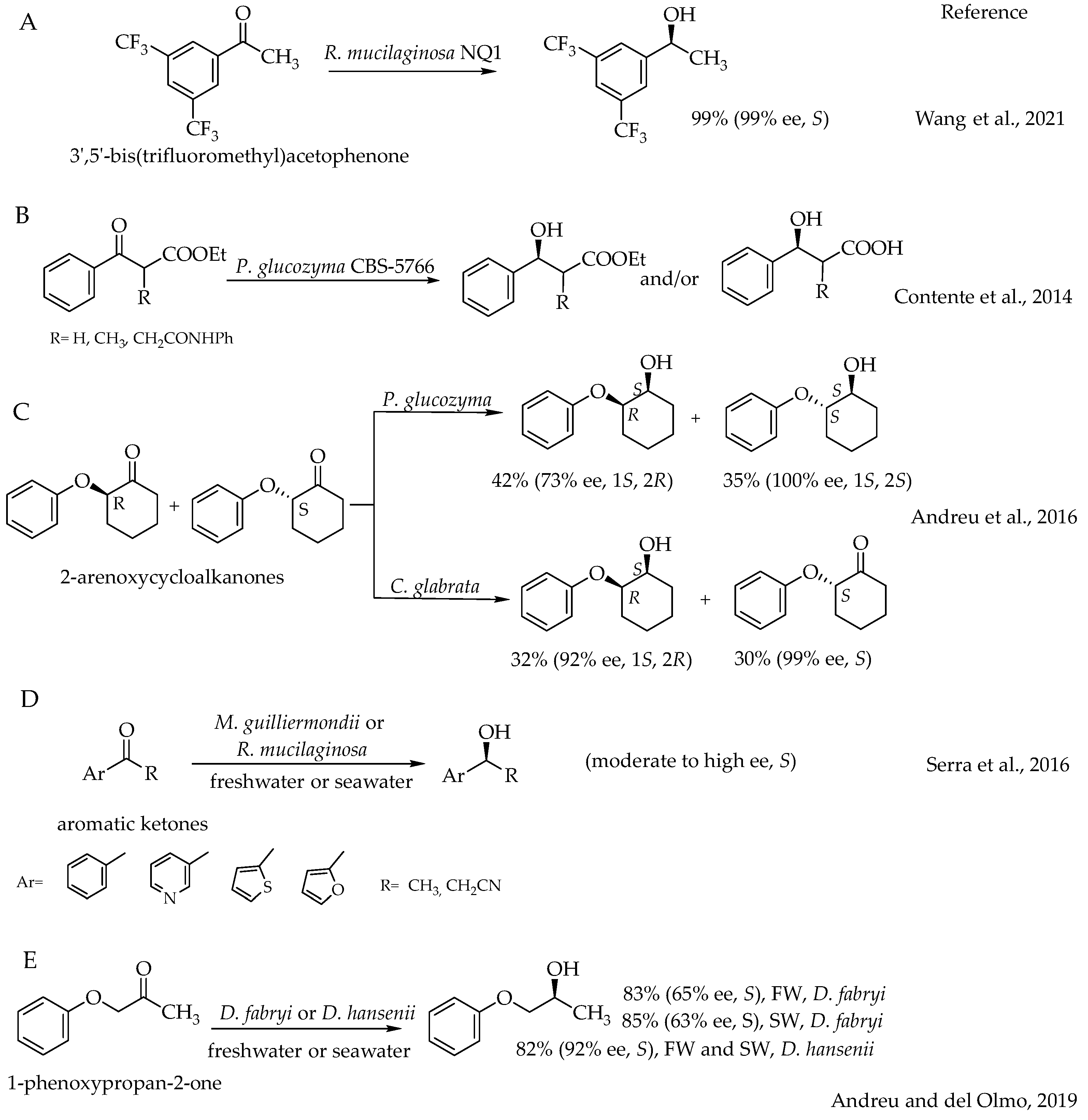 Catalysts 14 00767 sch001