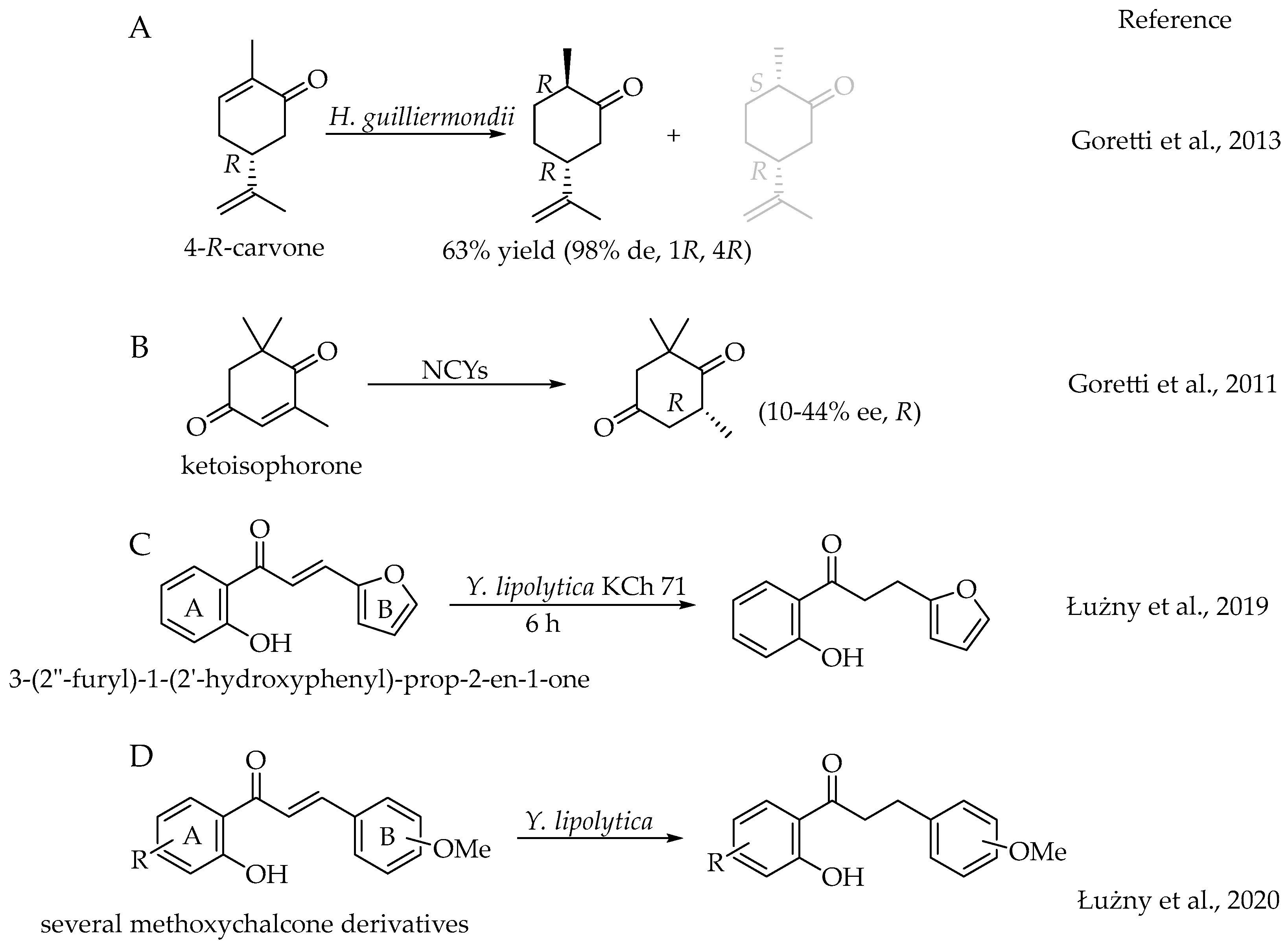 Catalysts 14 00767 sch004
