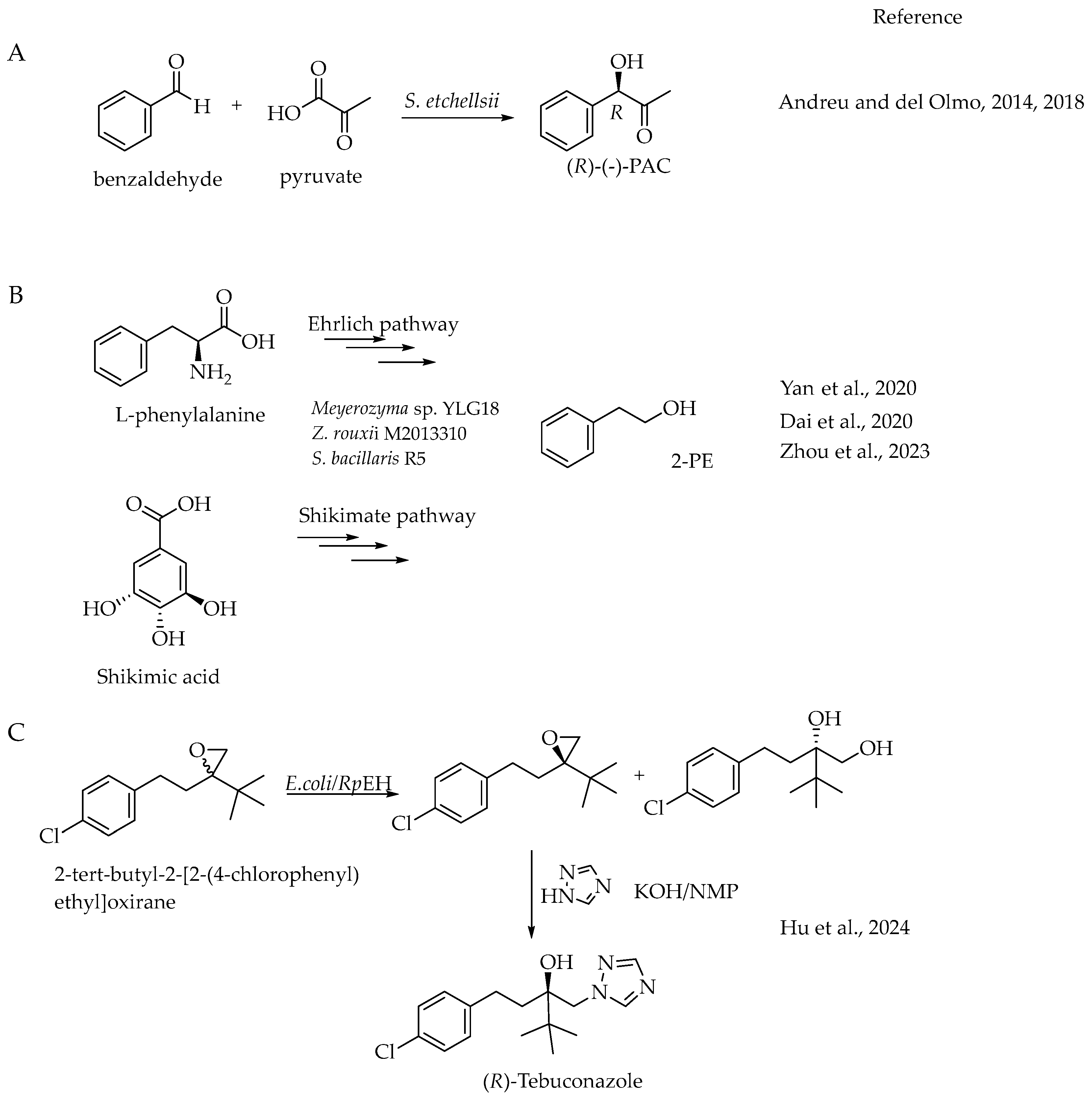Catalysts 14 00767 sch009