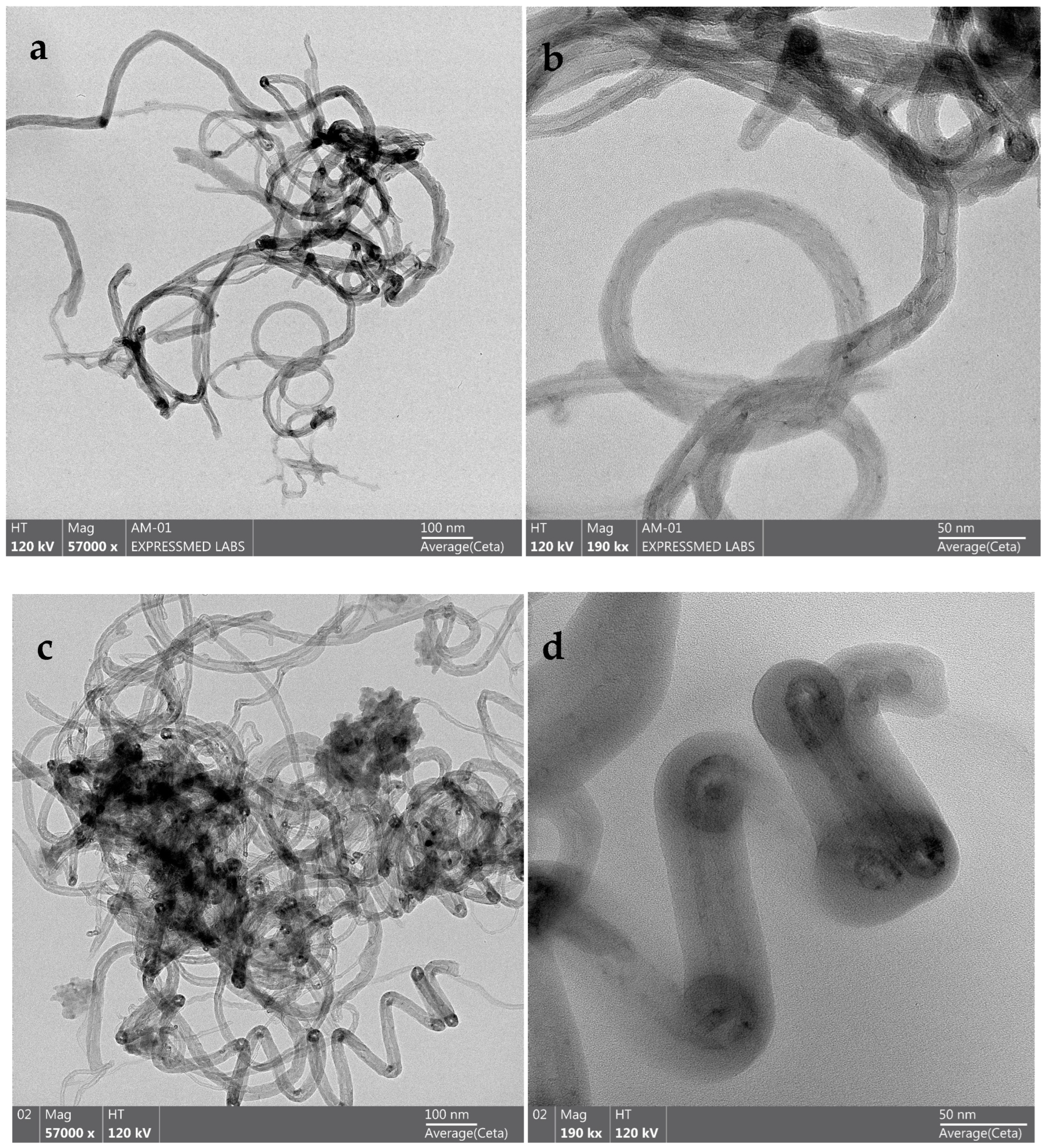 Catalysts 14 00769 g004