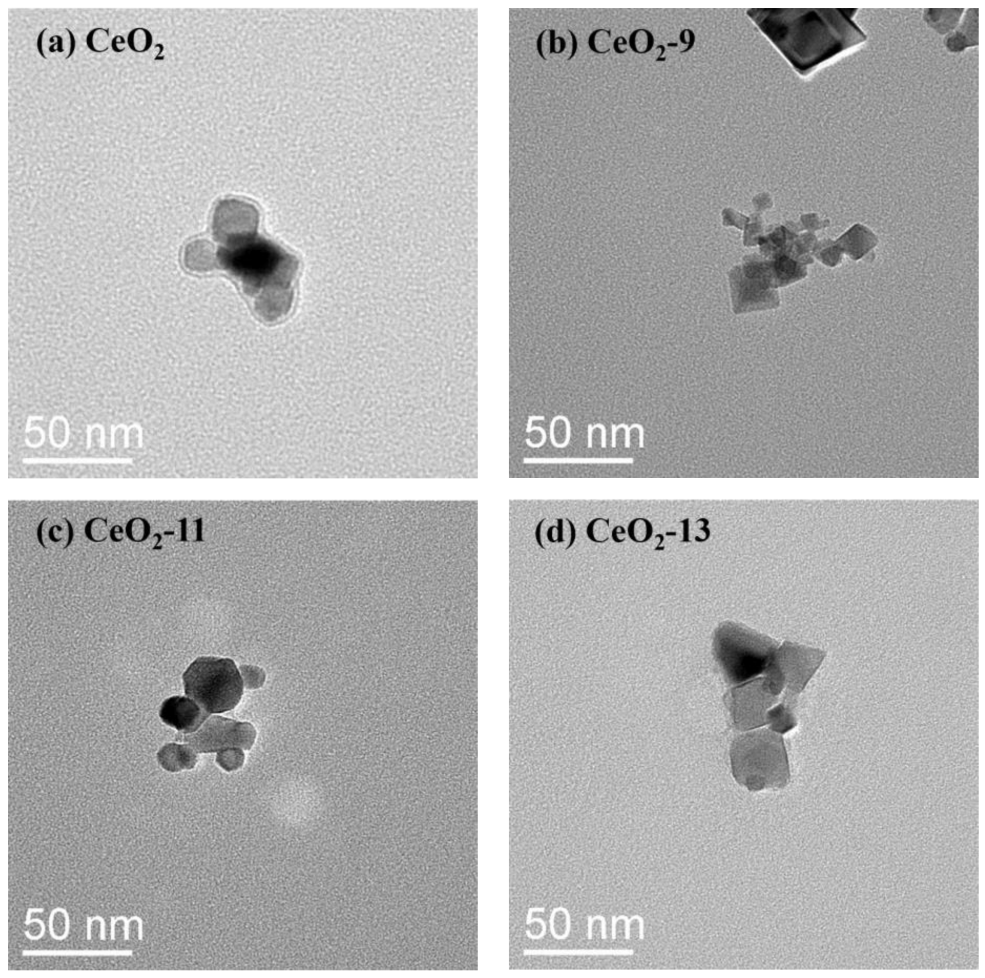 Catalysts 14 00770 g002