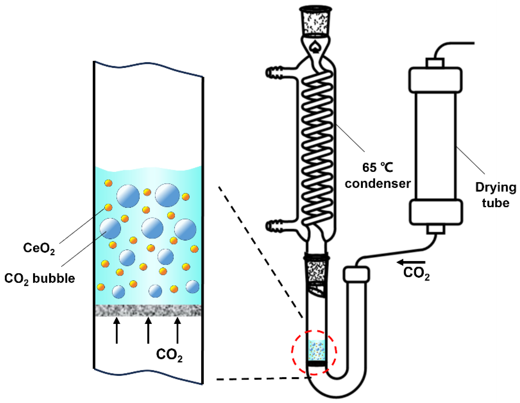 Catalysts 14 00770 g005
