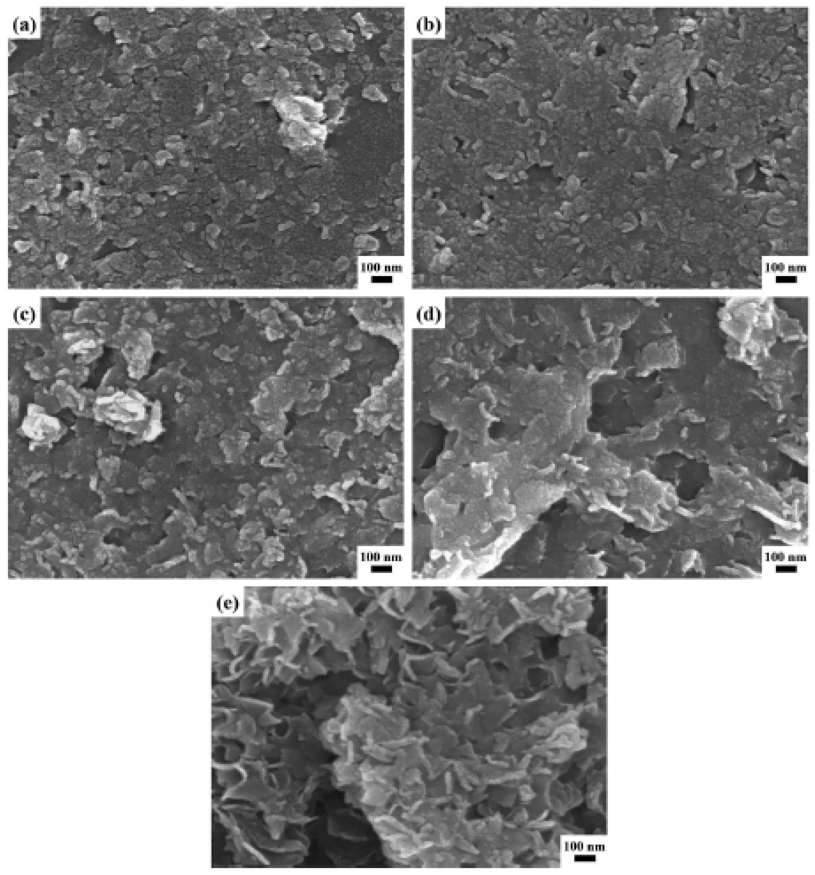 Catalysts 14 00771 g005