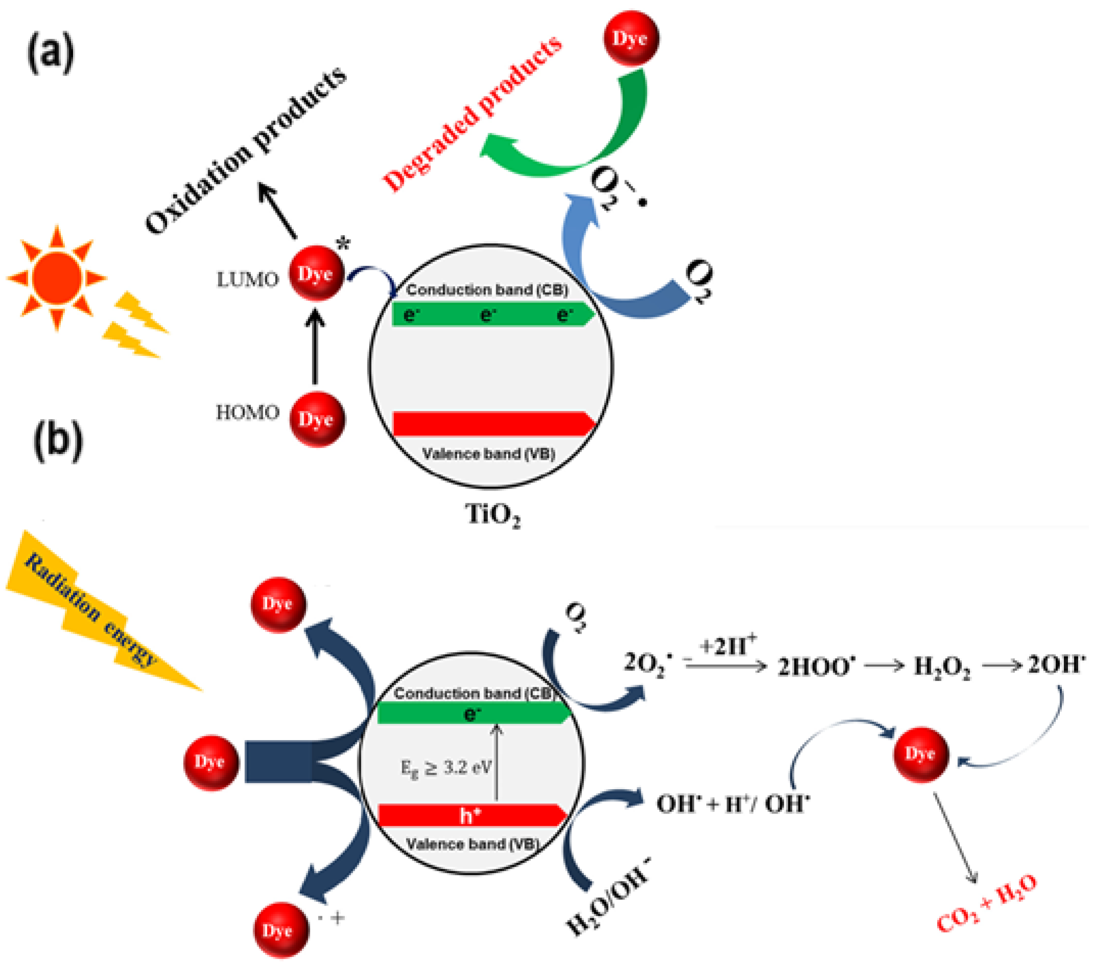 Catalysts 14 00771 g009