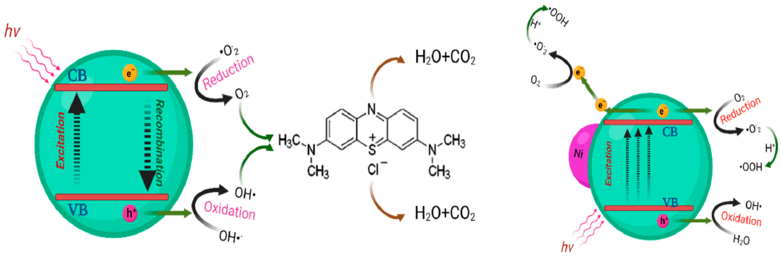 Catalysts 14 00771 g011