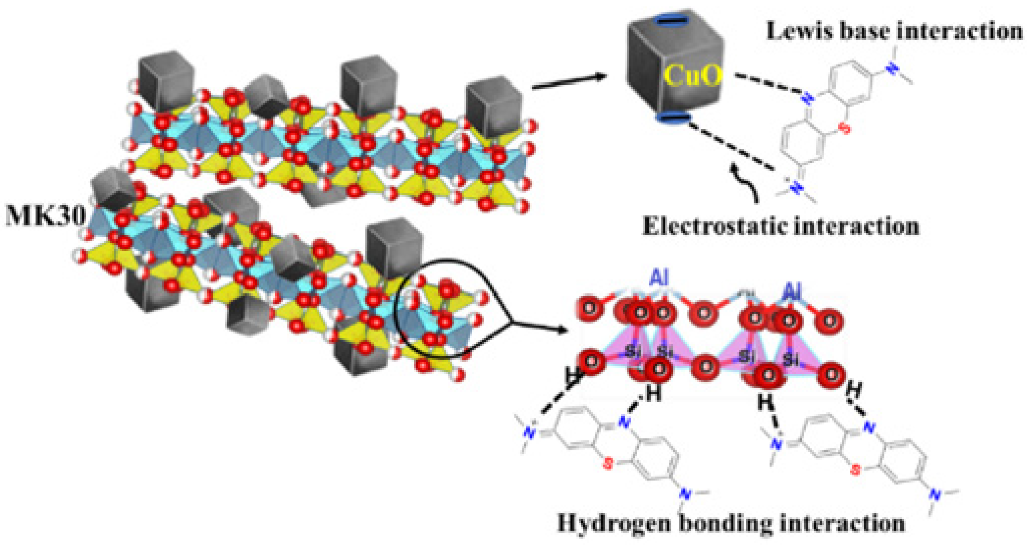 Catalysts 14 00771 g013