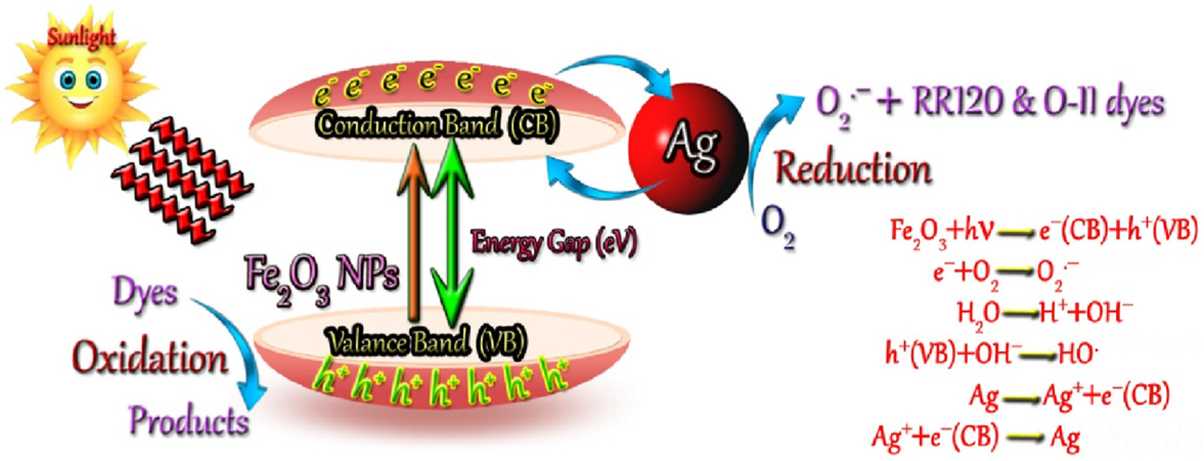 Catalysts 14 00771 g014