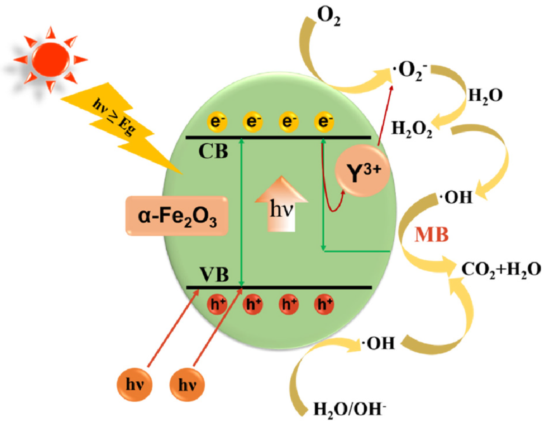 Catalysts 14 00771 g015