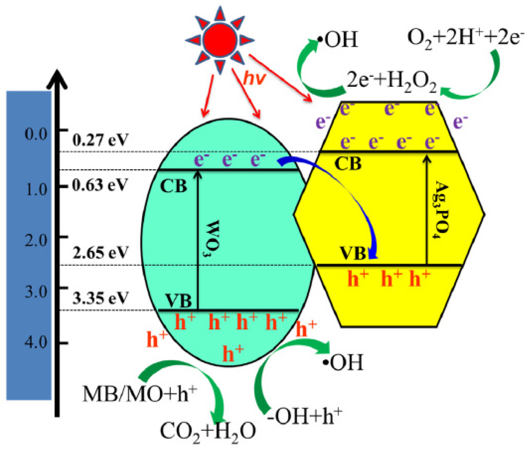 Catalysts 14 00771 g019