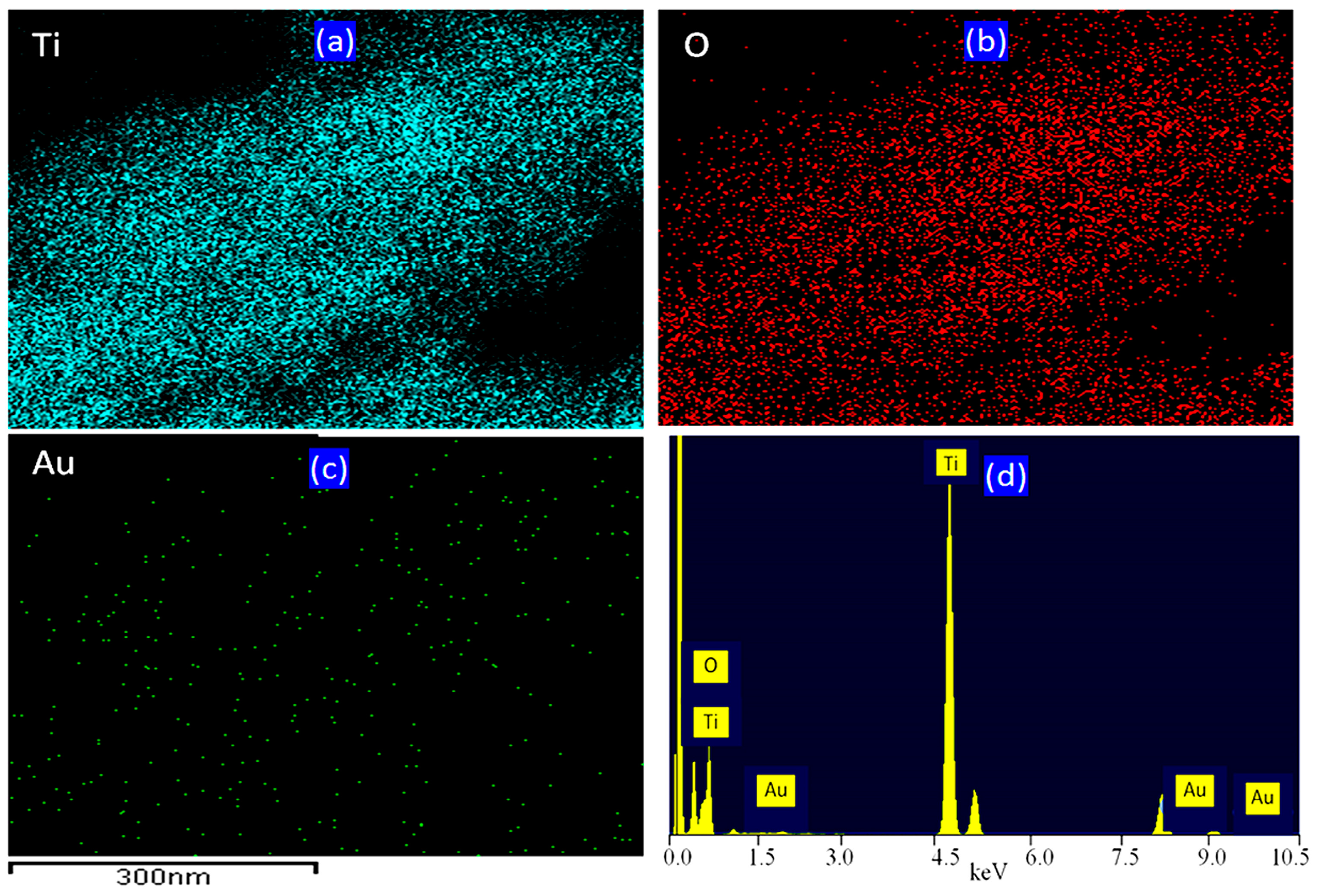 Catalysts 14 00772 g005