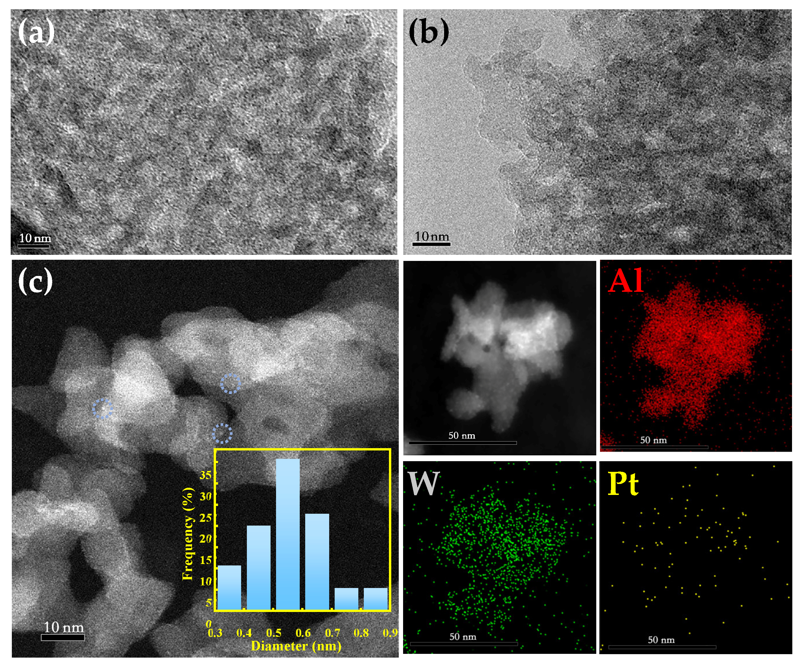 Catalysts 14 00774 g002