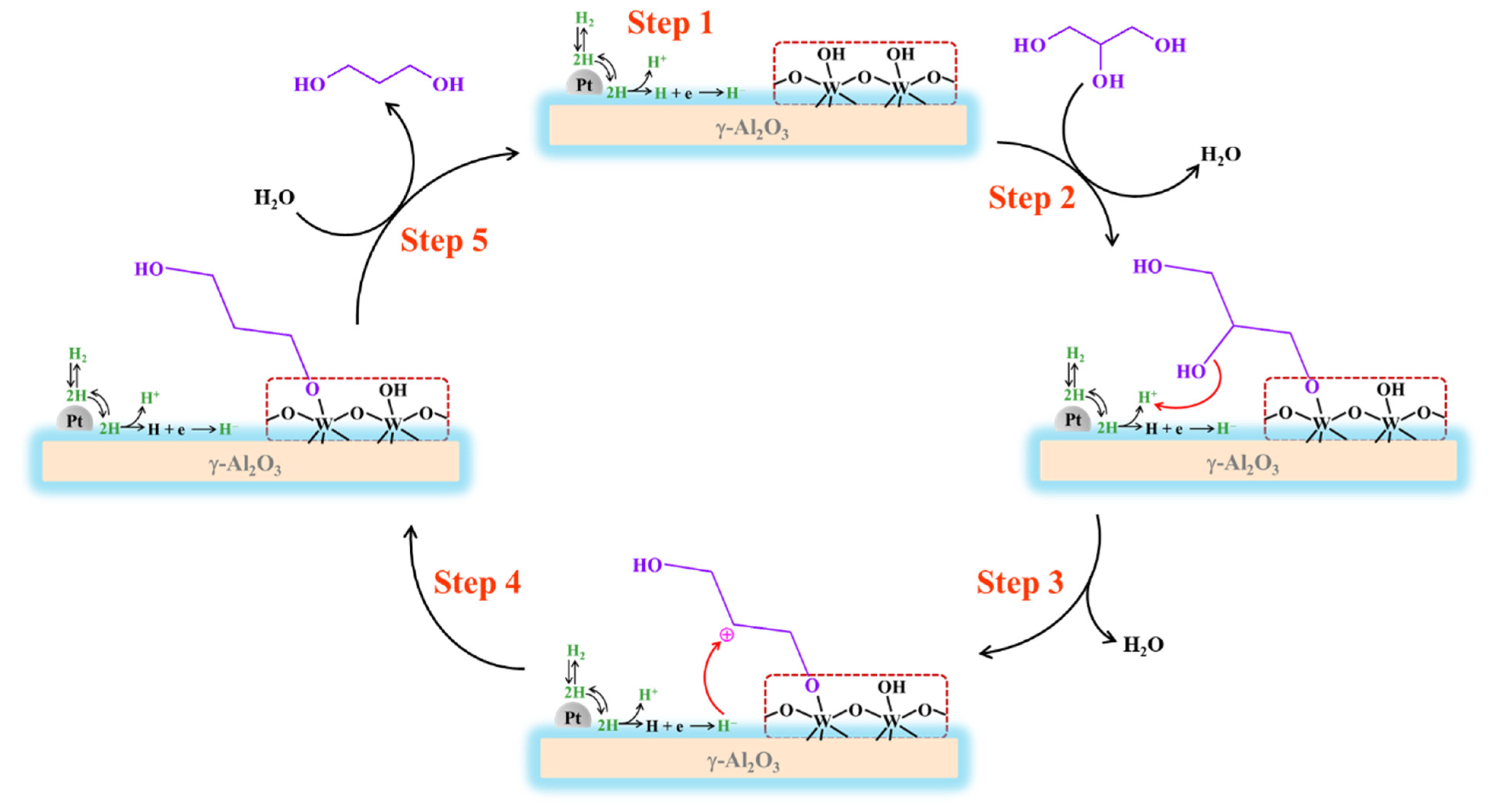 Catalysts 14 00774 sch001