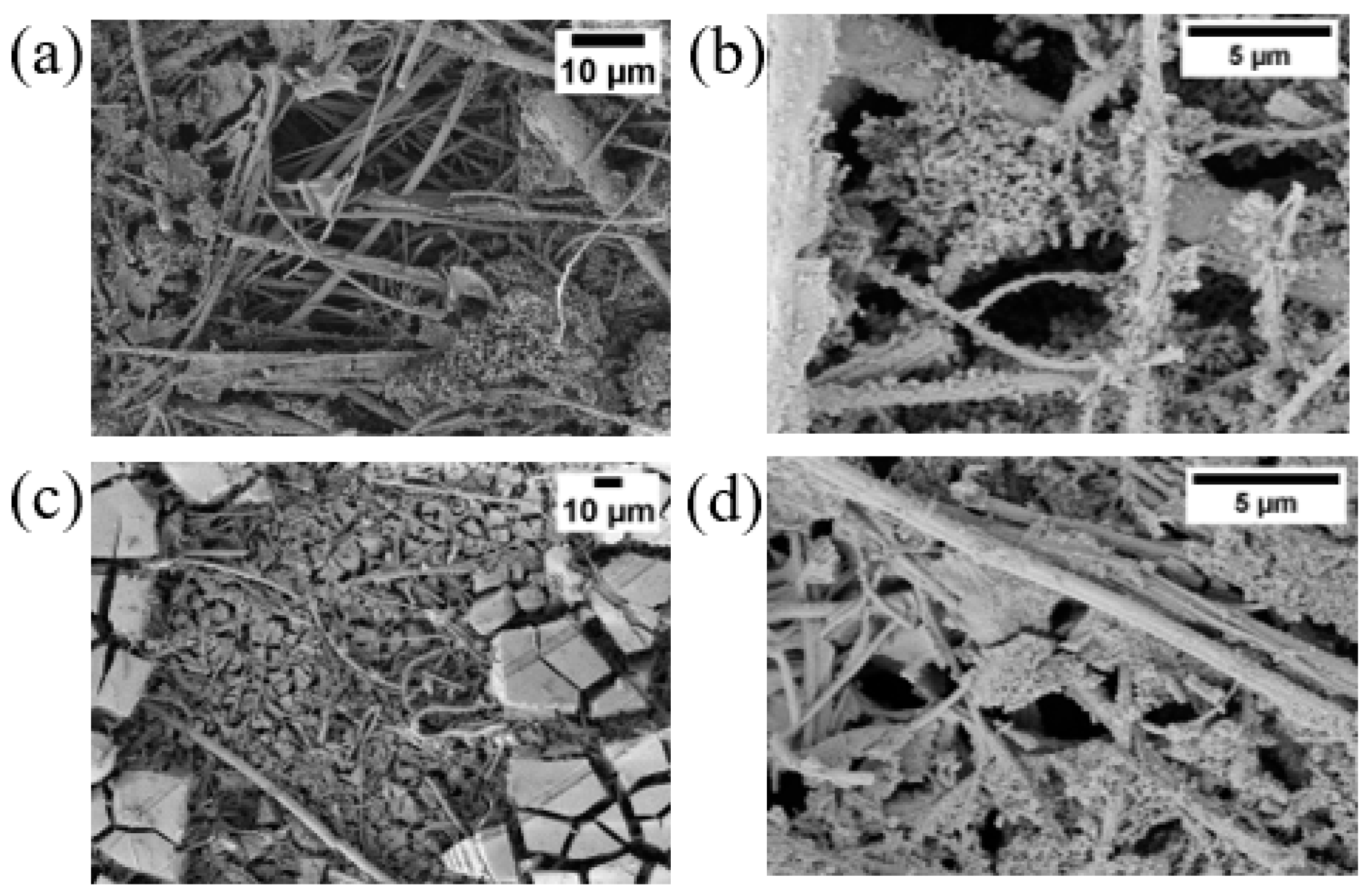 Catalysts 14 00775 g002