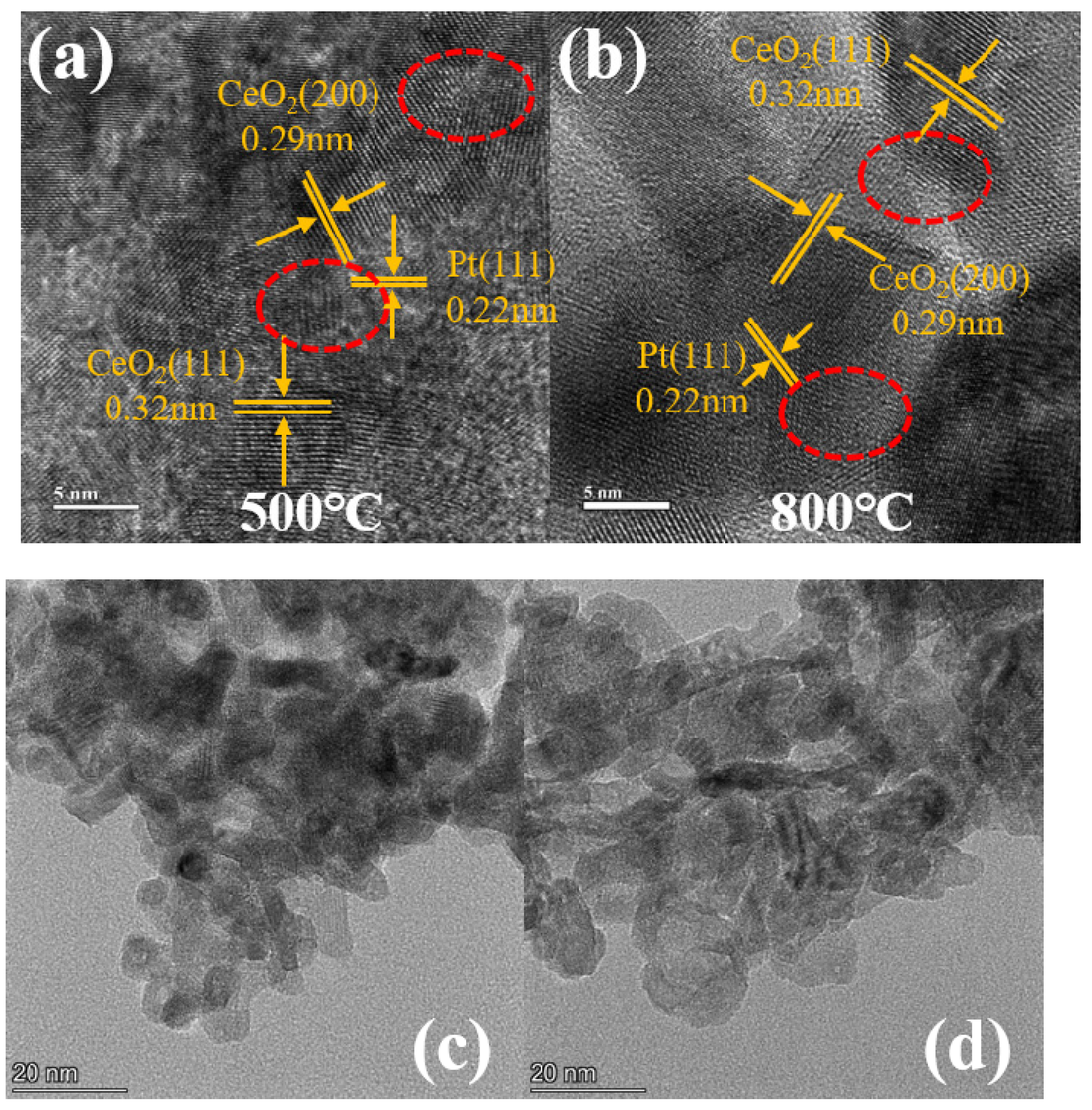 Catalysts 14 00778 g003a