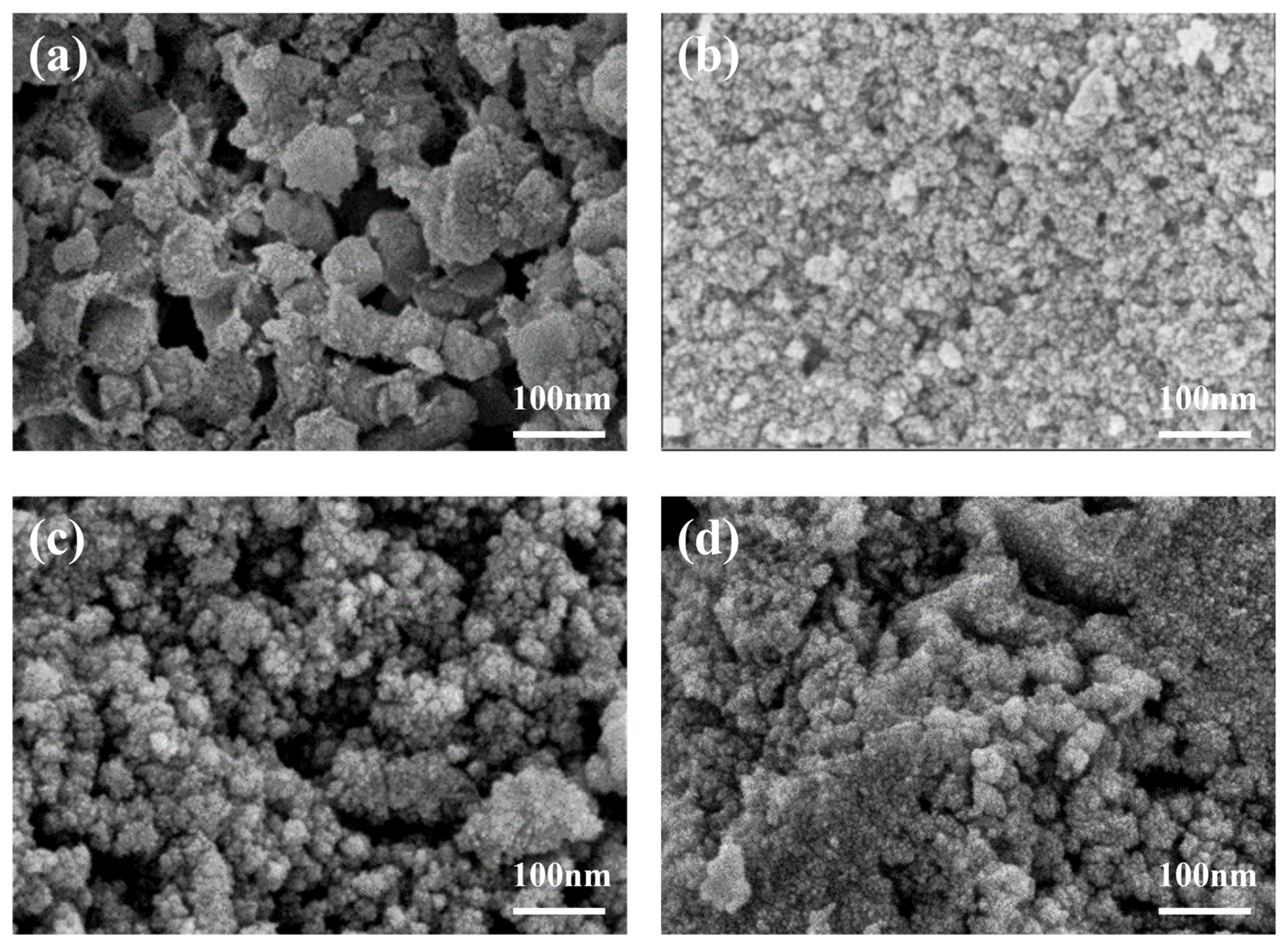 Catalysts 14 00779 g001