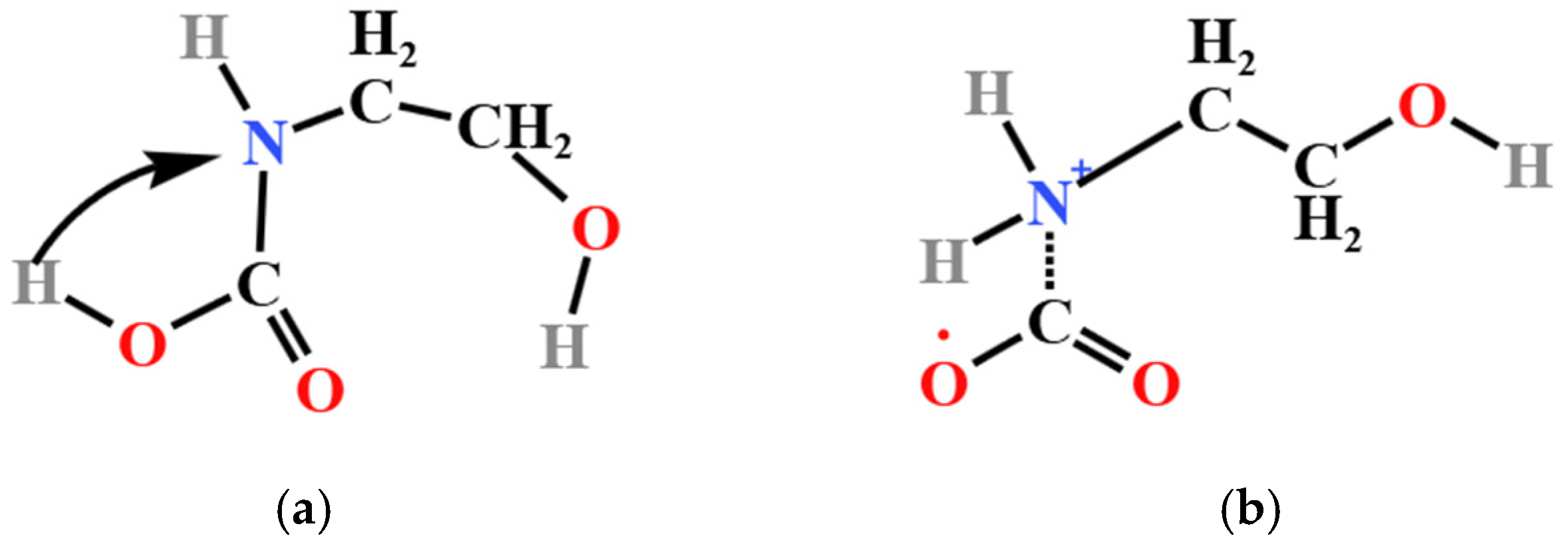 Catalysts 14 00779 g010