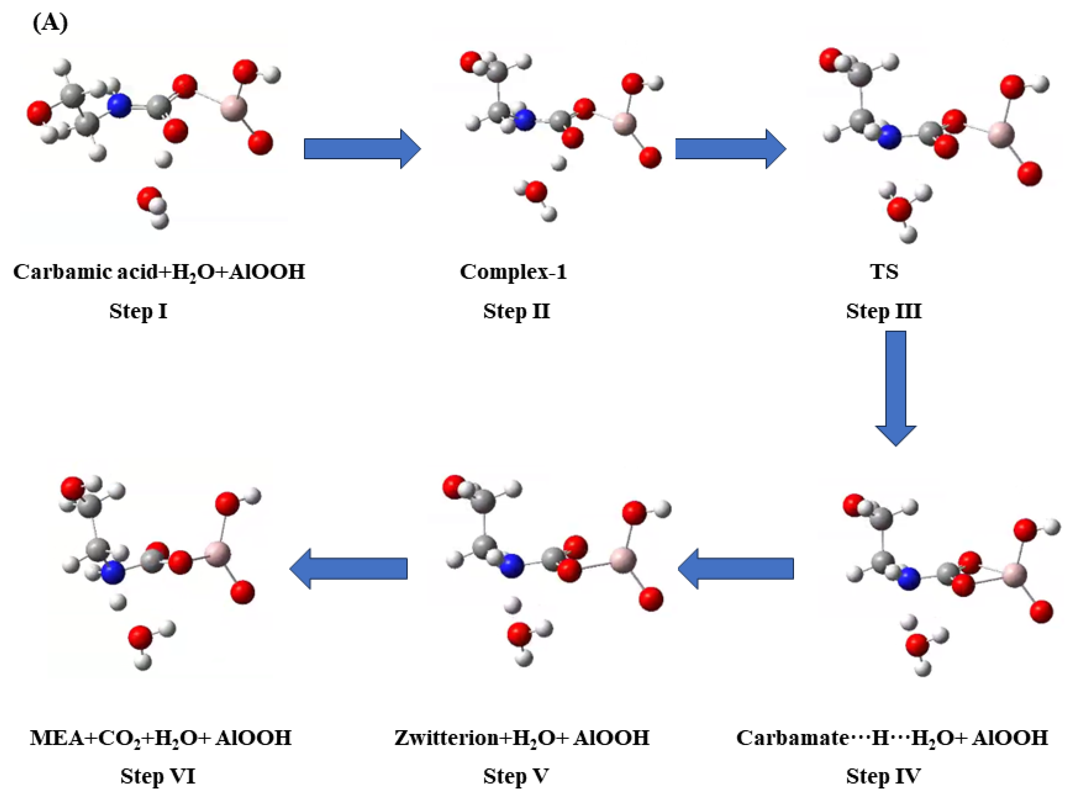Catalysts 14 00779 g013