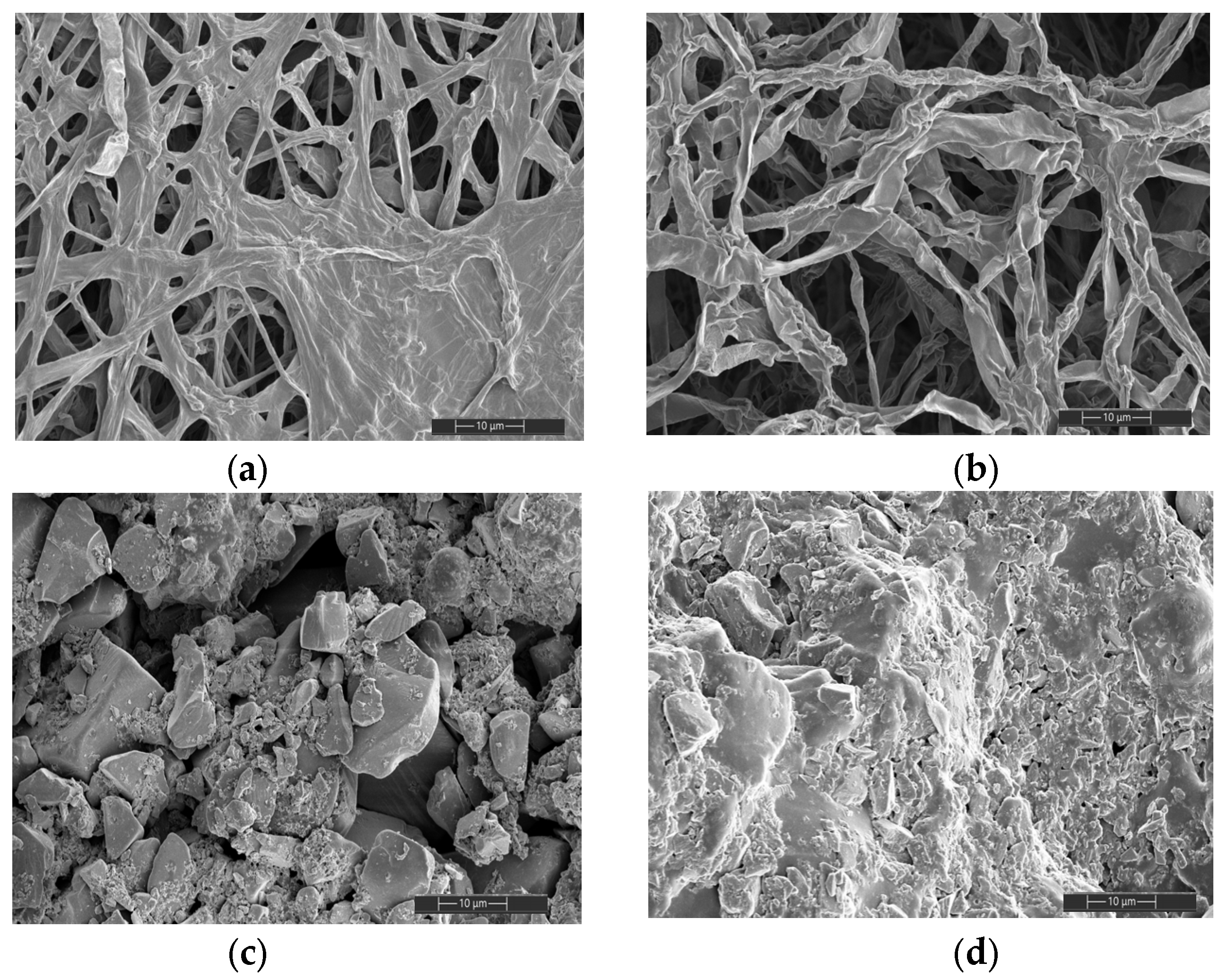 Catalysts 14 00783 g002