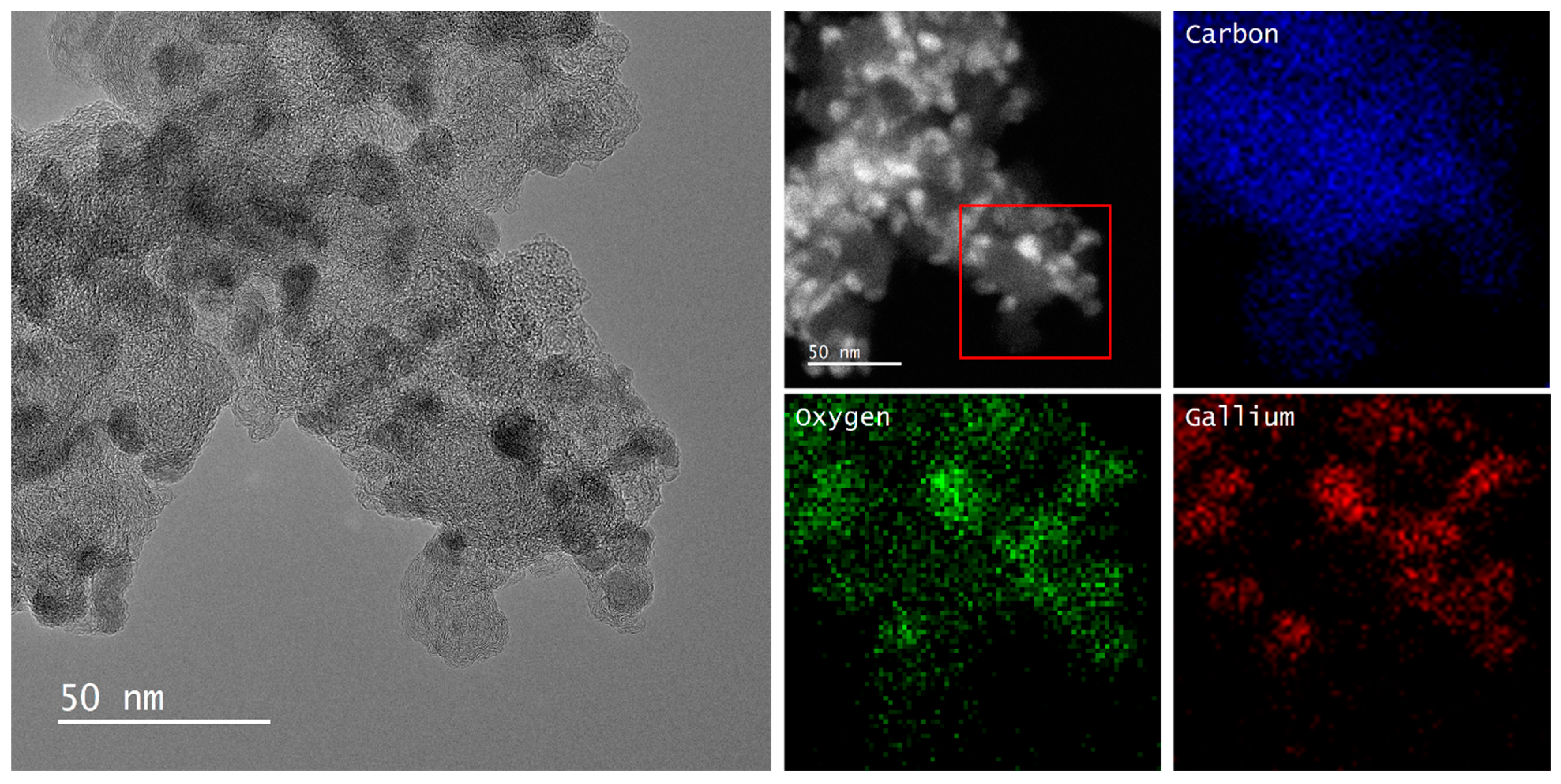 Catalysts 14 00786 g006