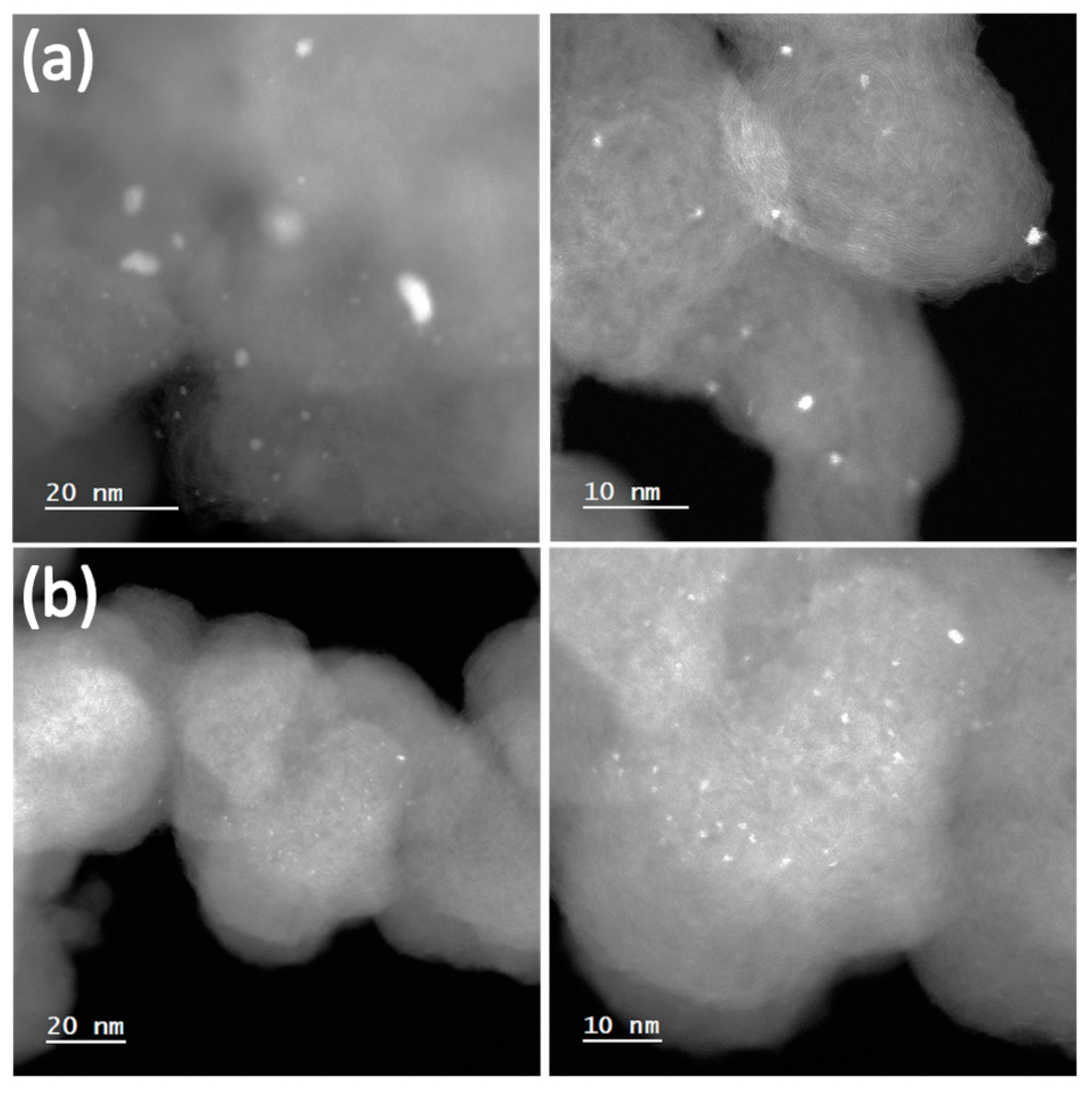 Catalysts 14 00786 g009