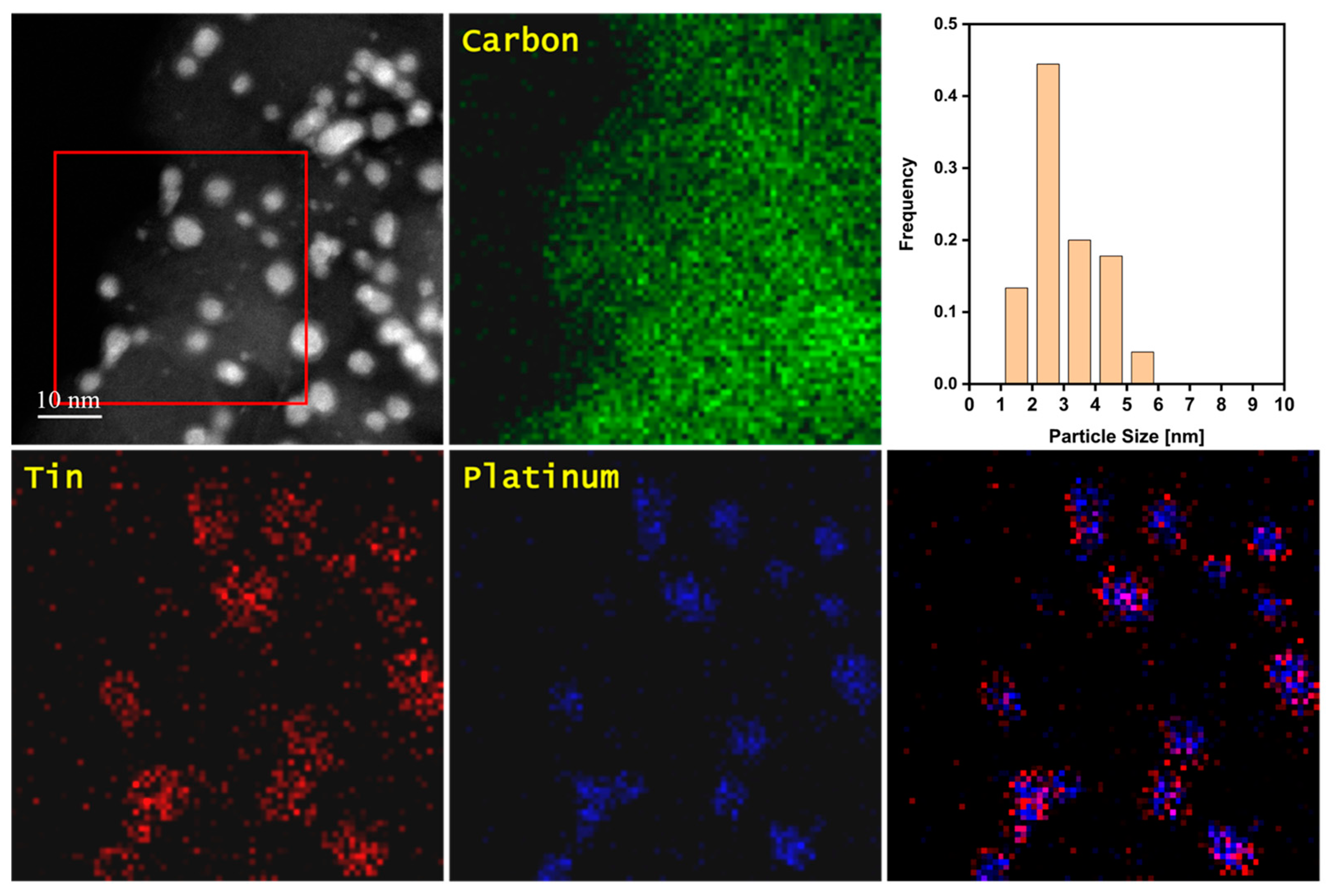 Catalysts 14 00786 g010