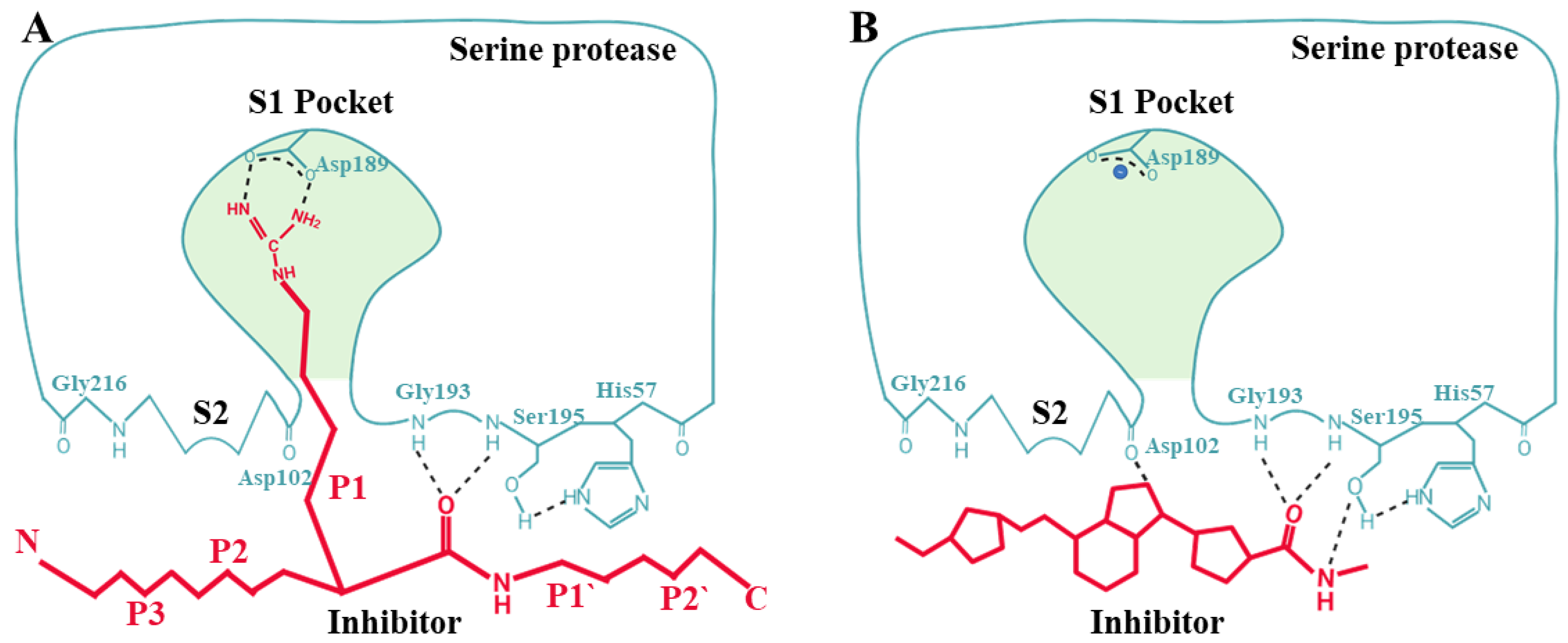 Catalysts 14 00787 g003