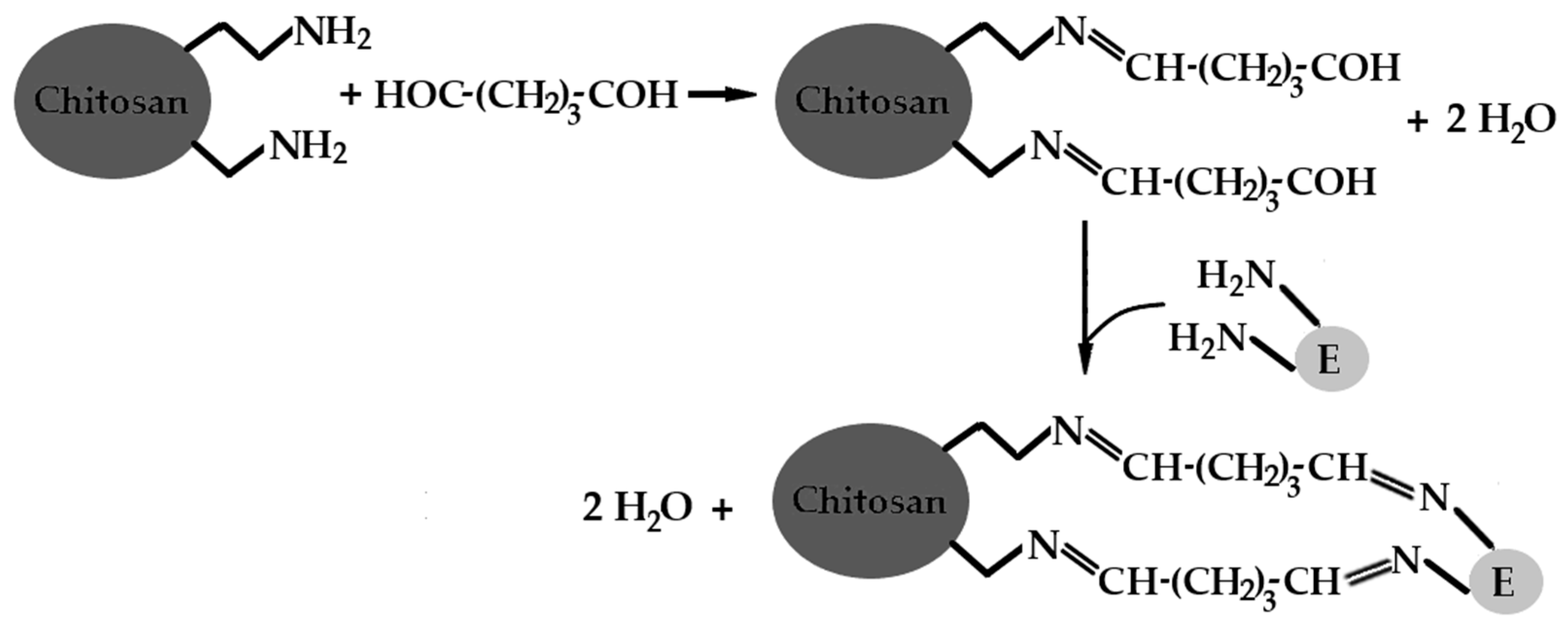 Catalysts 14 00788 sch001