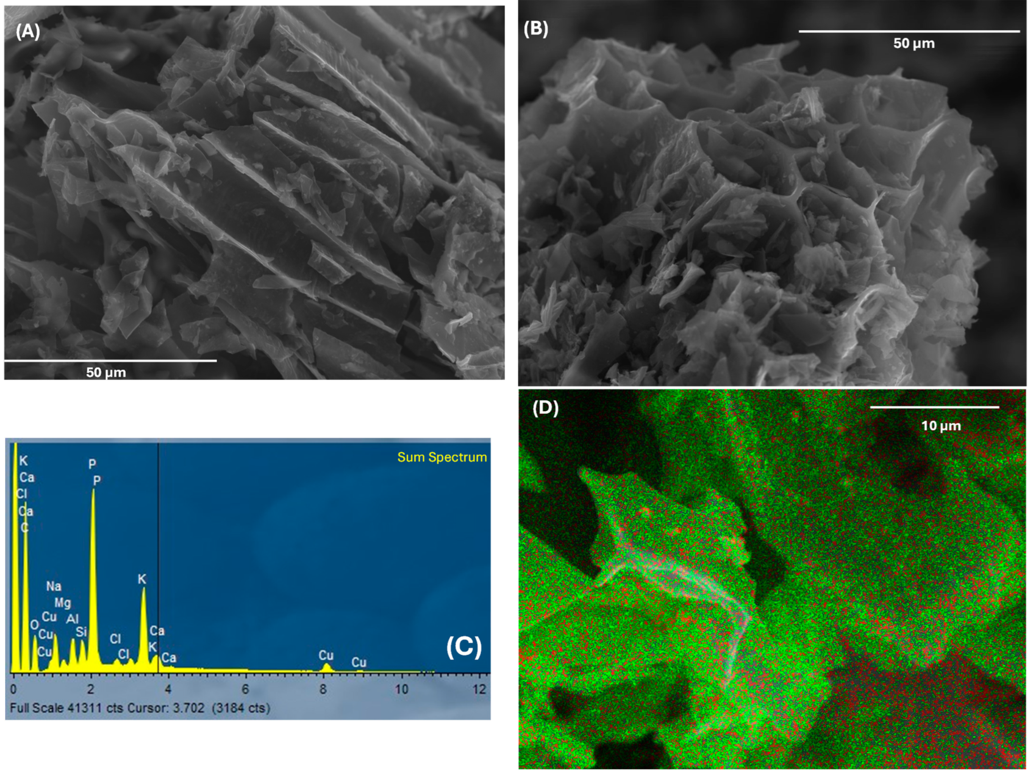 Catalysts 14 00789 g002