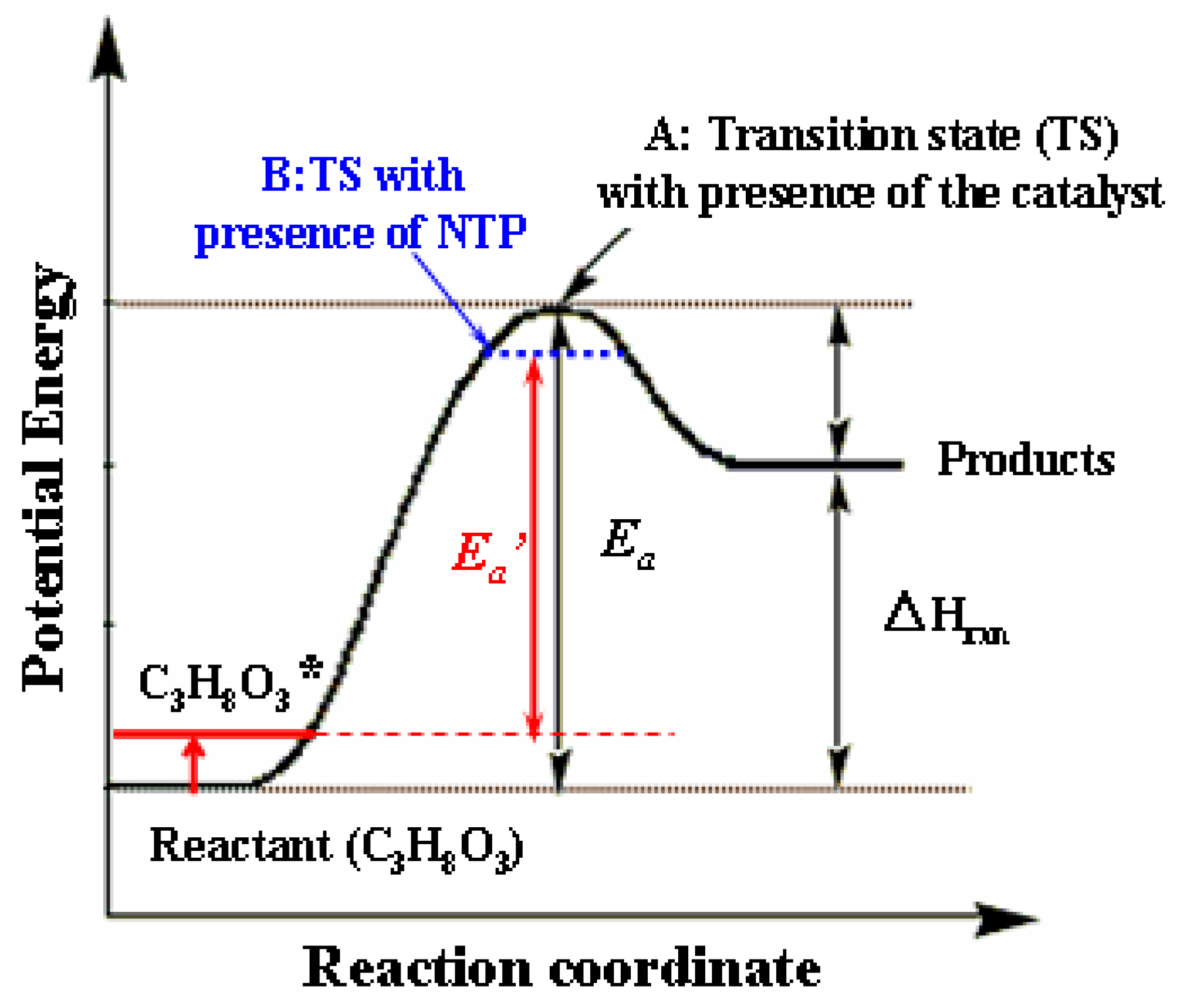 Catalysts 14 00790 g007