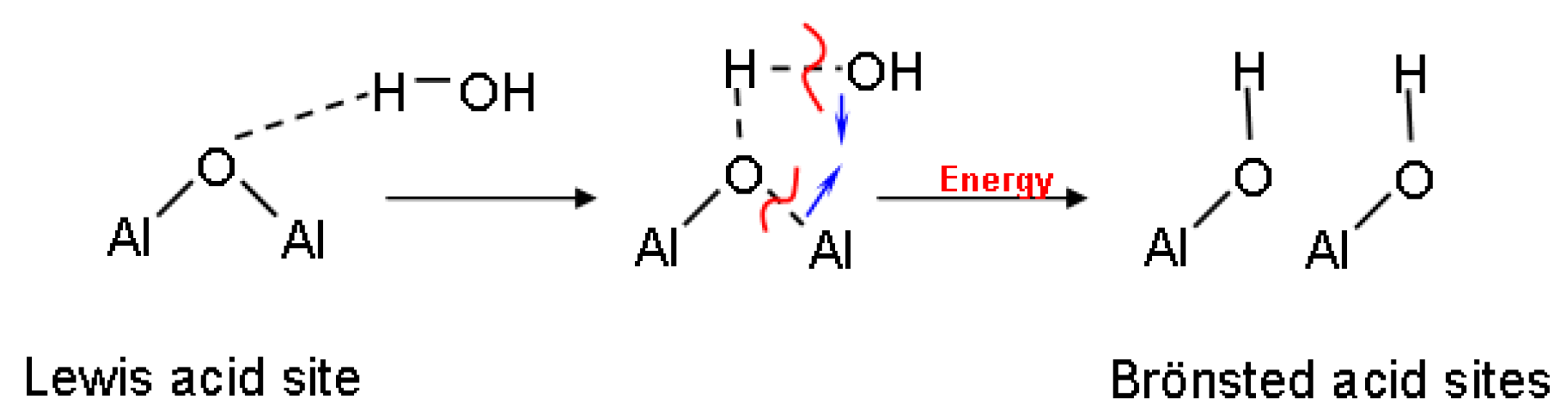 Catalysts 14 00790 sch002