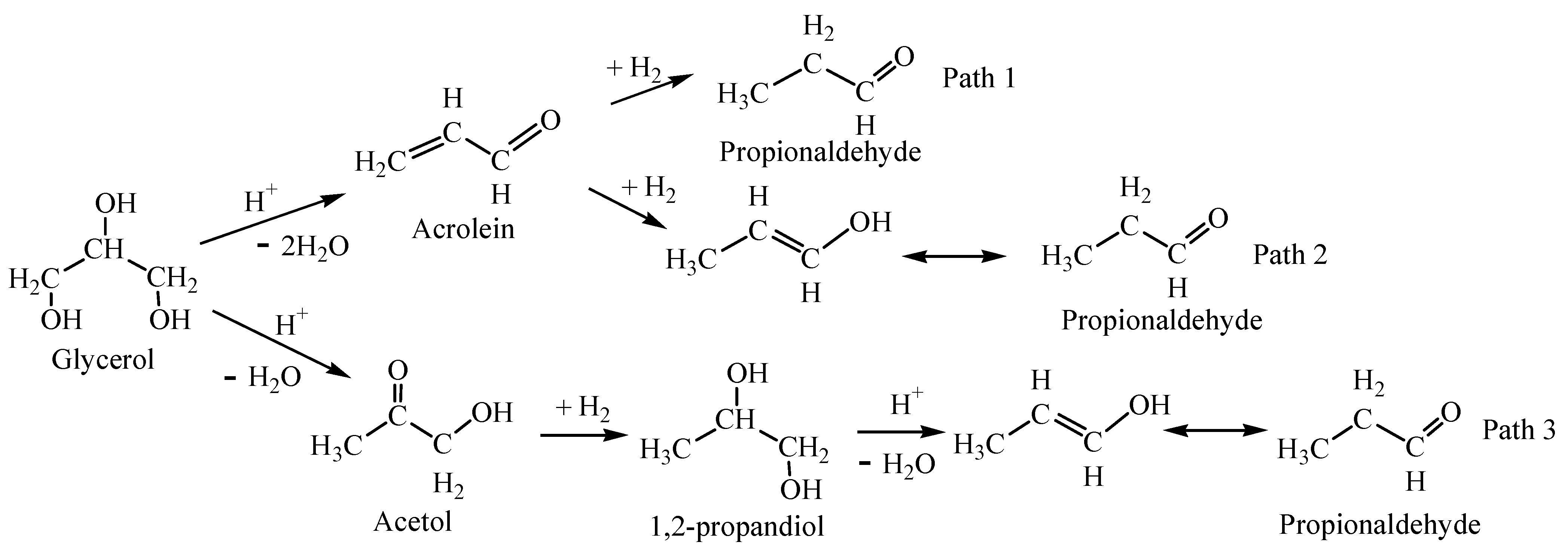 Catalysts 14 00790 sch004